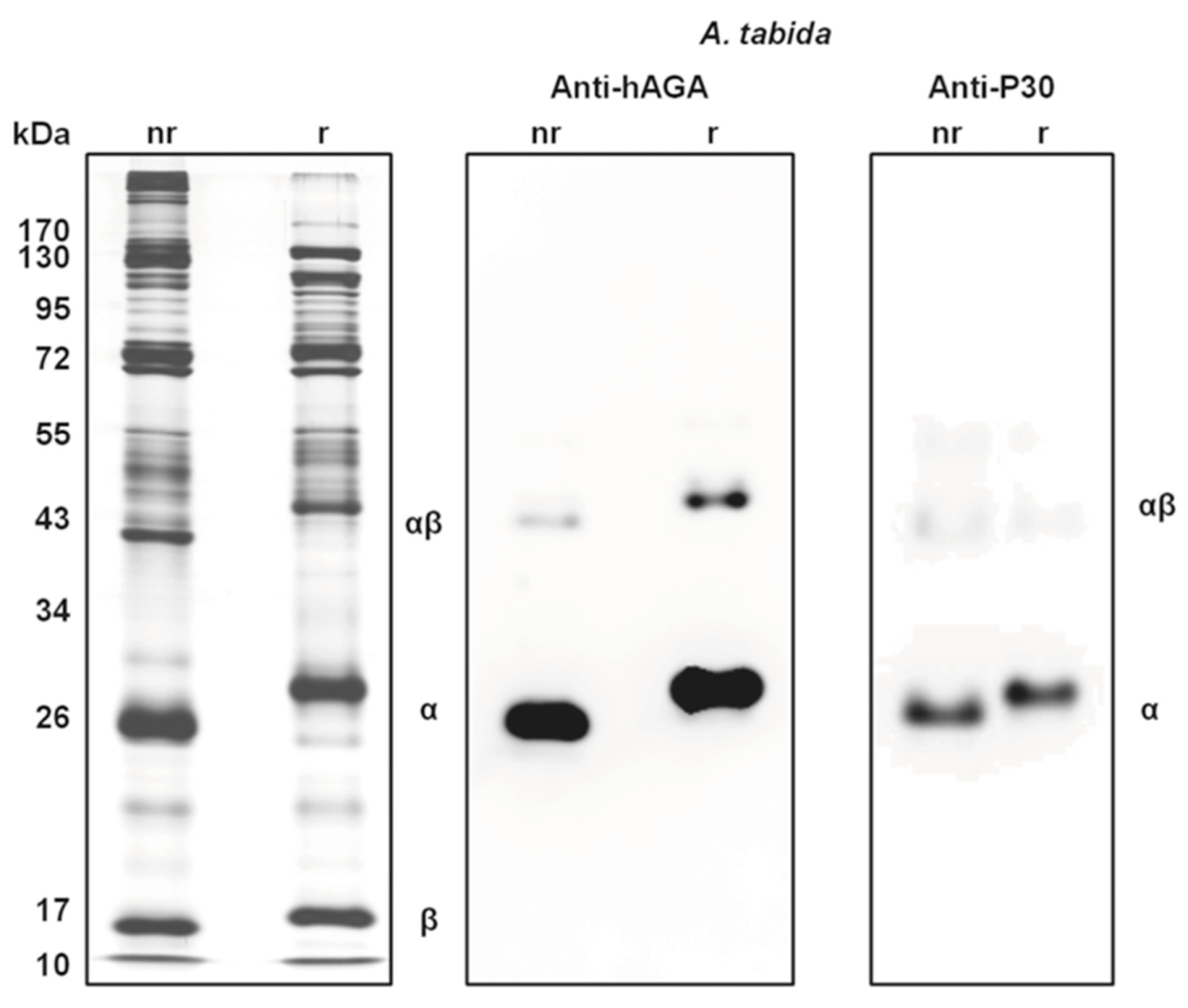 Biology 10 00050 g005 Biology 10 00050 g005