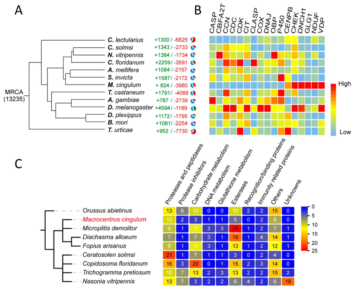 Biology 10 00050 g014 Biology 10 00050 g014