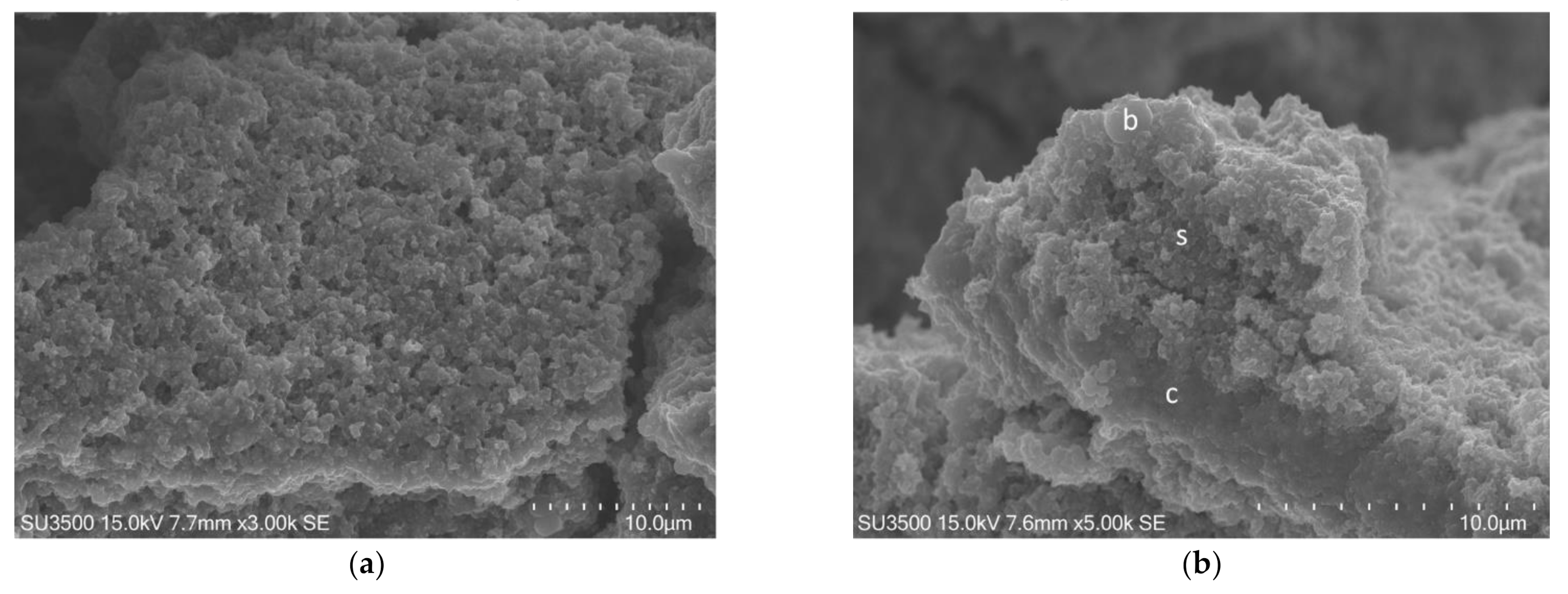 Biology 10 00051 g005