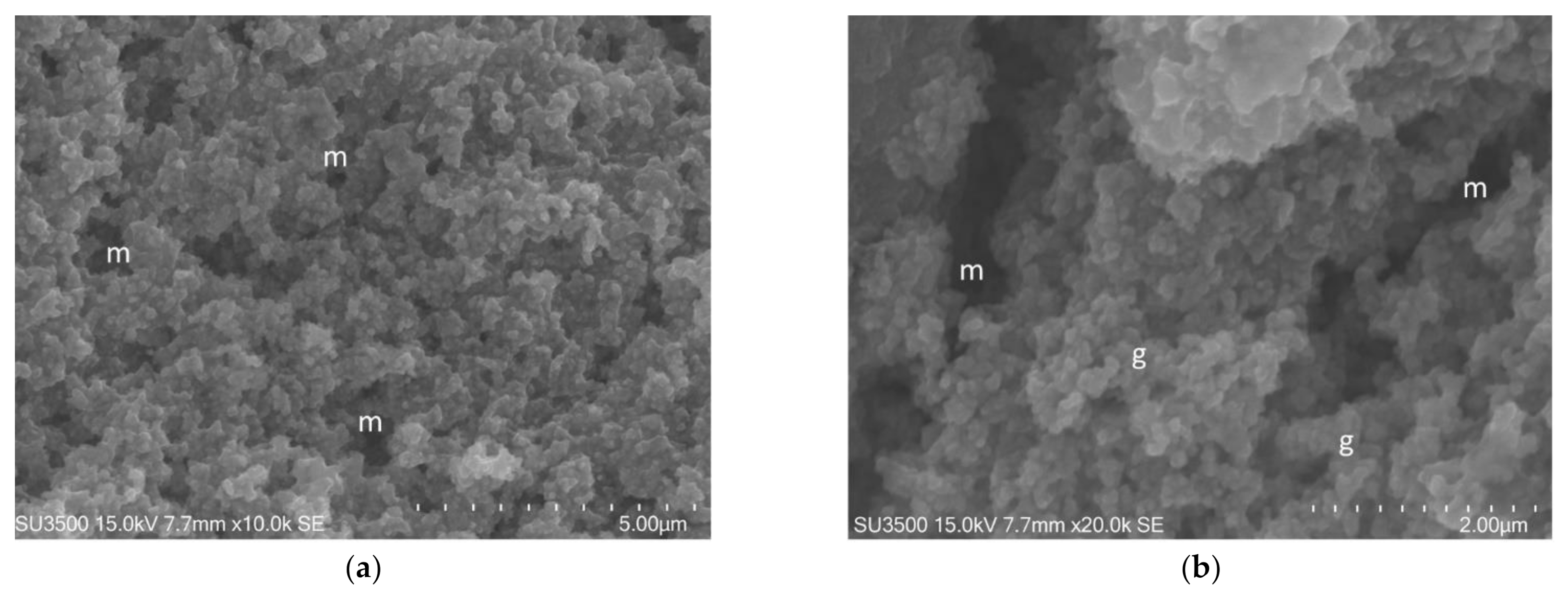 Biology 10 00051 g006