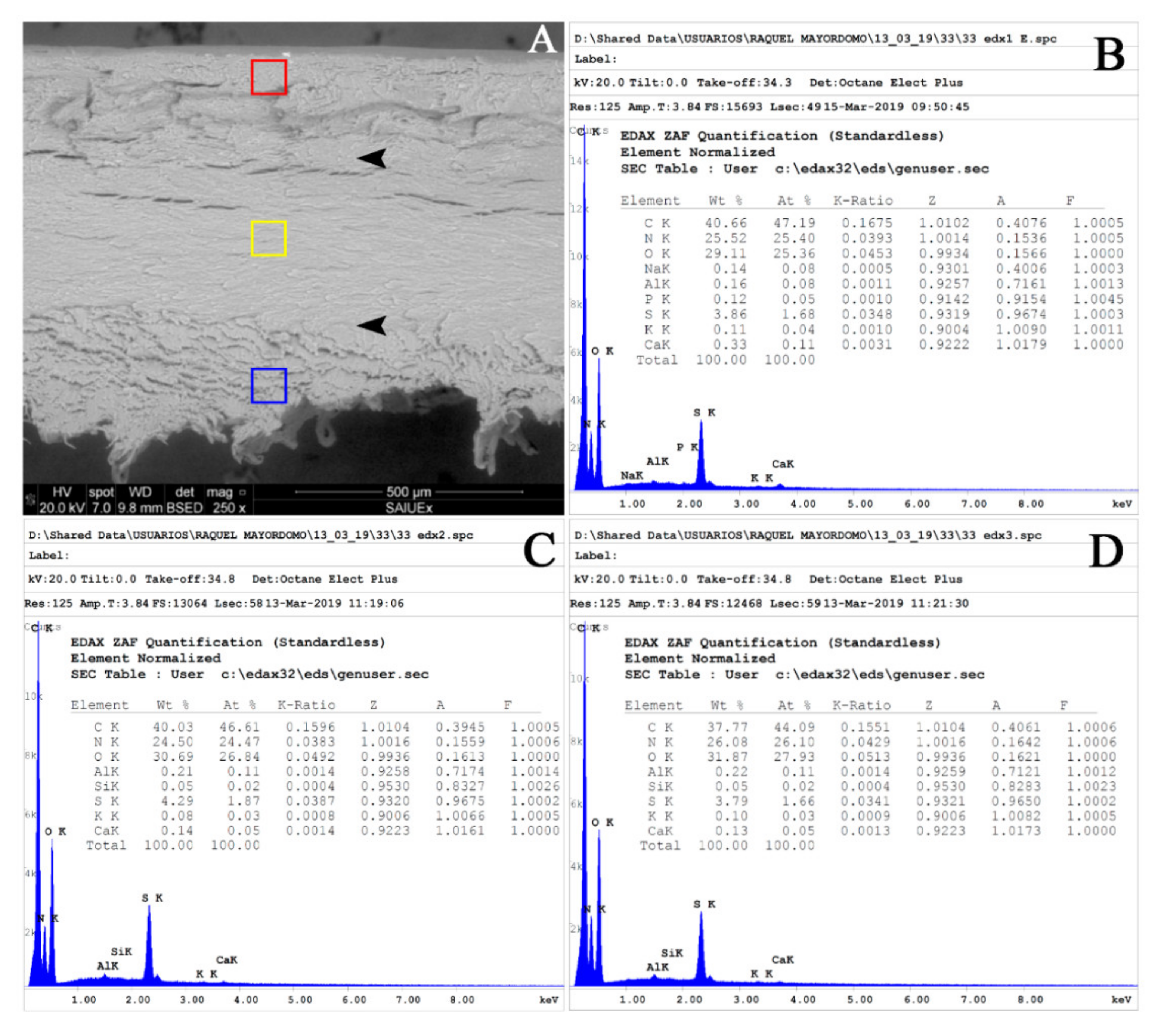 Biology 10 00053 g002 Biology 10 00053 g002