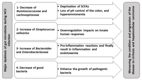 Biology Free Full Text Changes Of Gut Microbiota Liver Axis In Hepatitis C Virus Infection Html