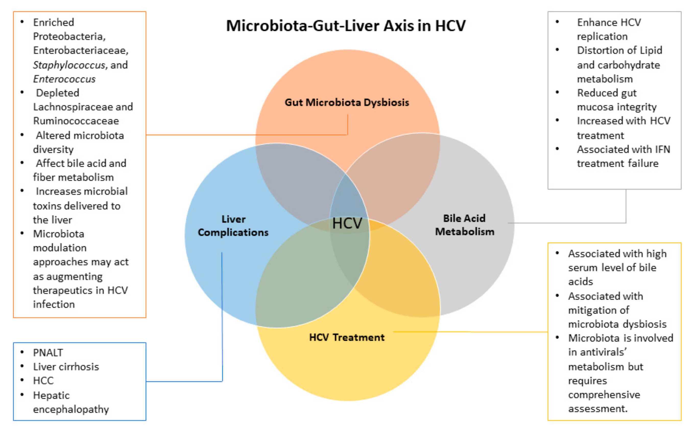 Biology Free Full Text Changes Of Gut Microbiota Liver Axis In Hepatitis C Virus Infection Html