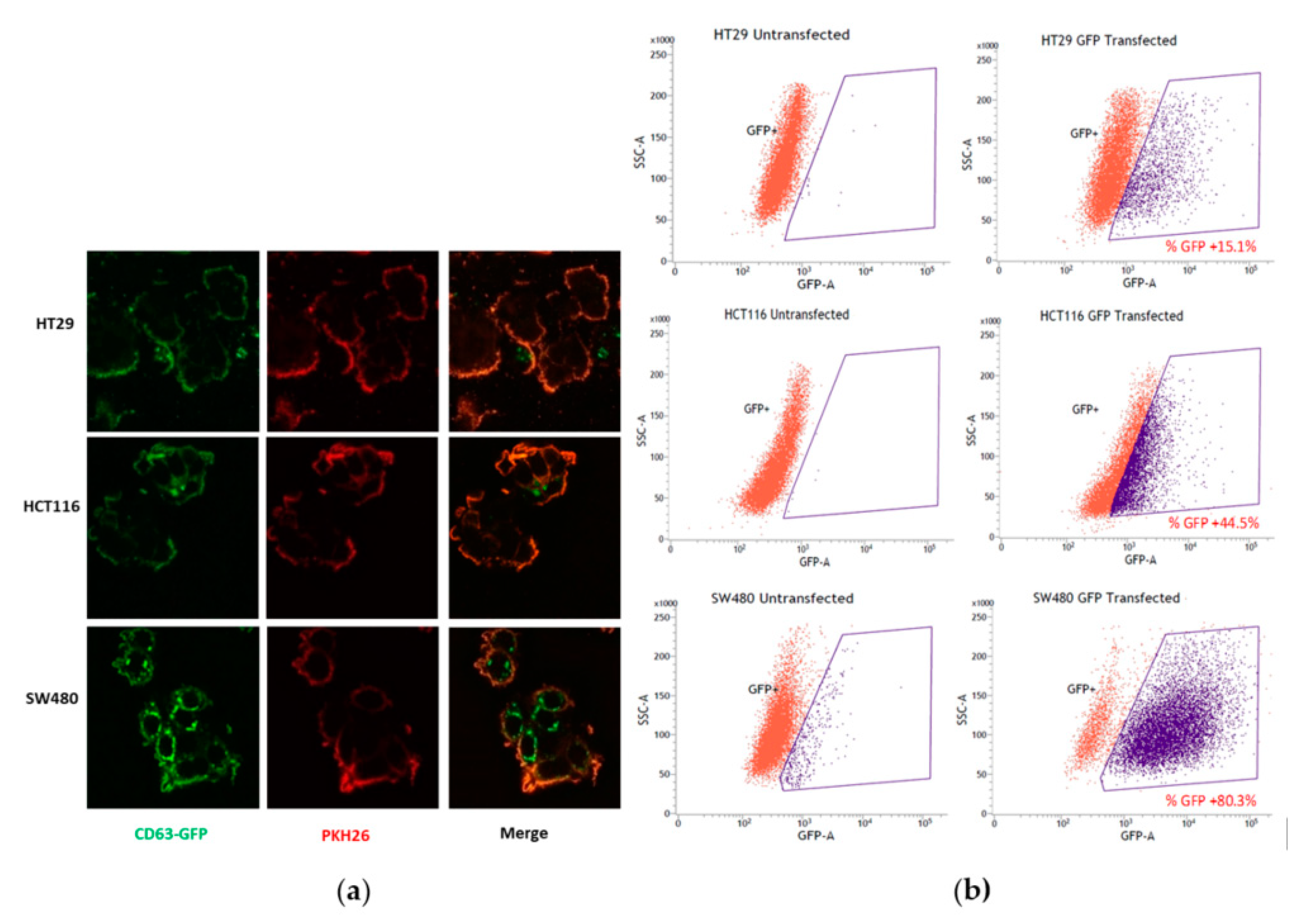 Biology 10 00058 g001 Biology 10 00058 g001