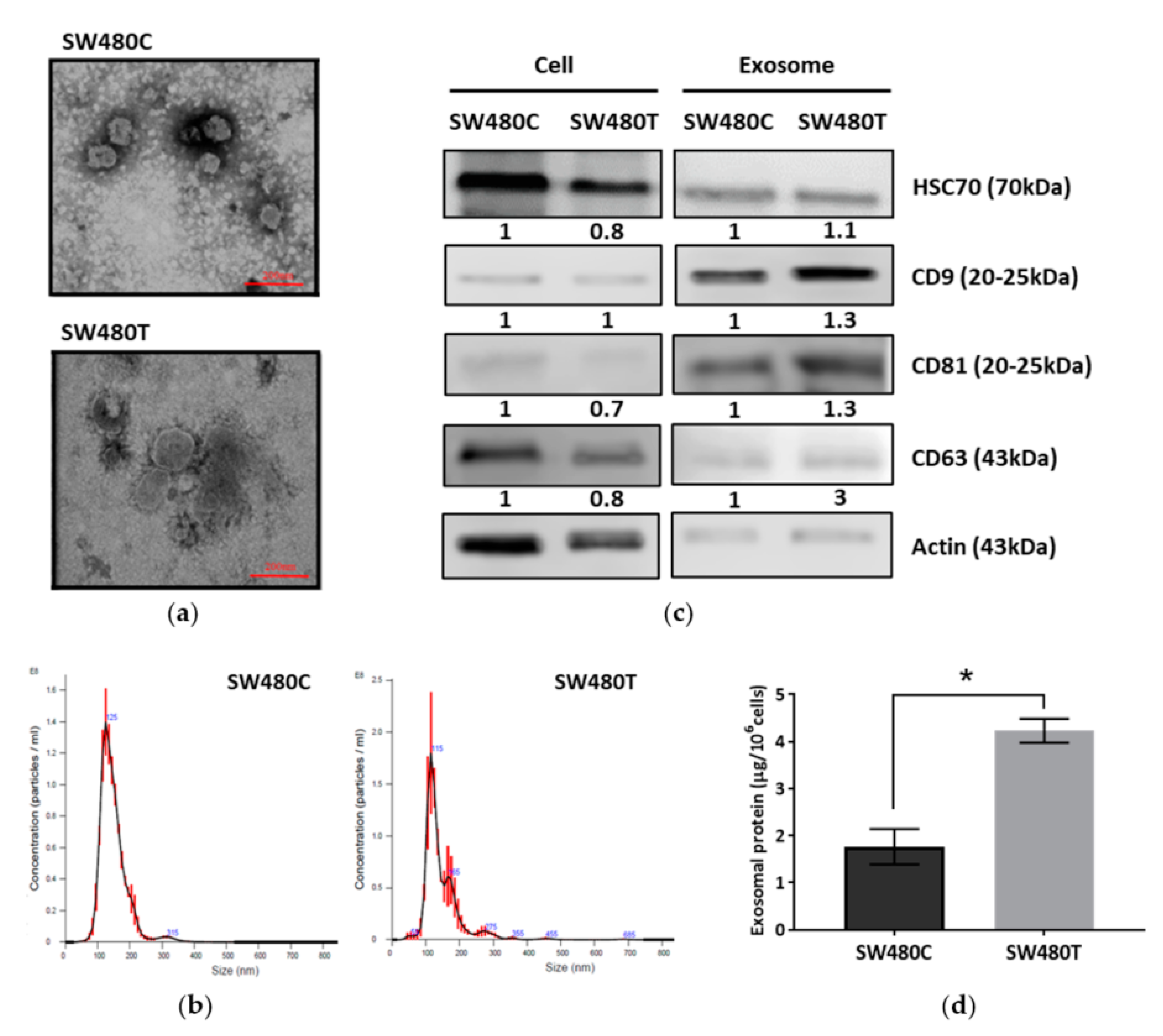 Biology 10 00058 g003 Biology 10 00058 g003