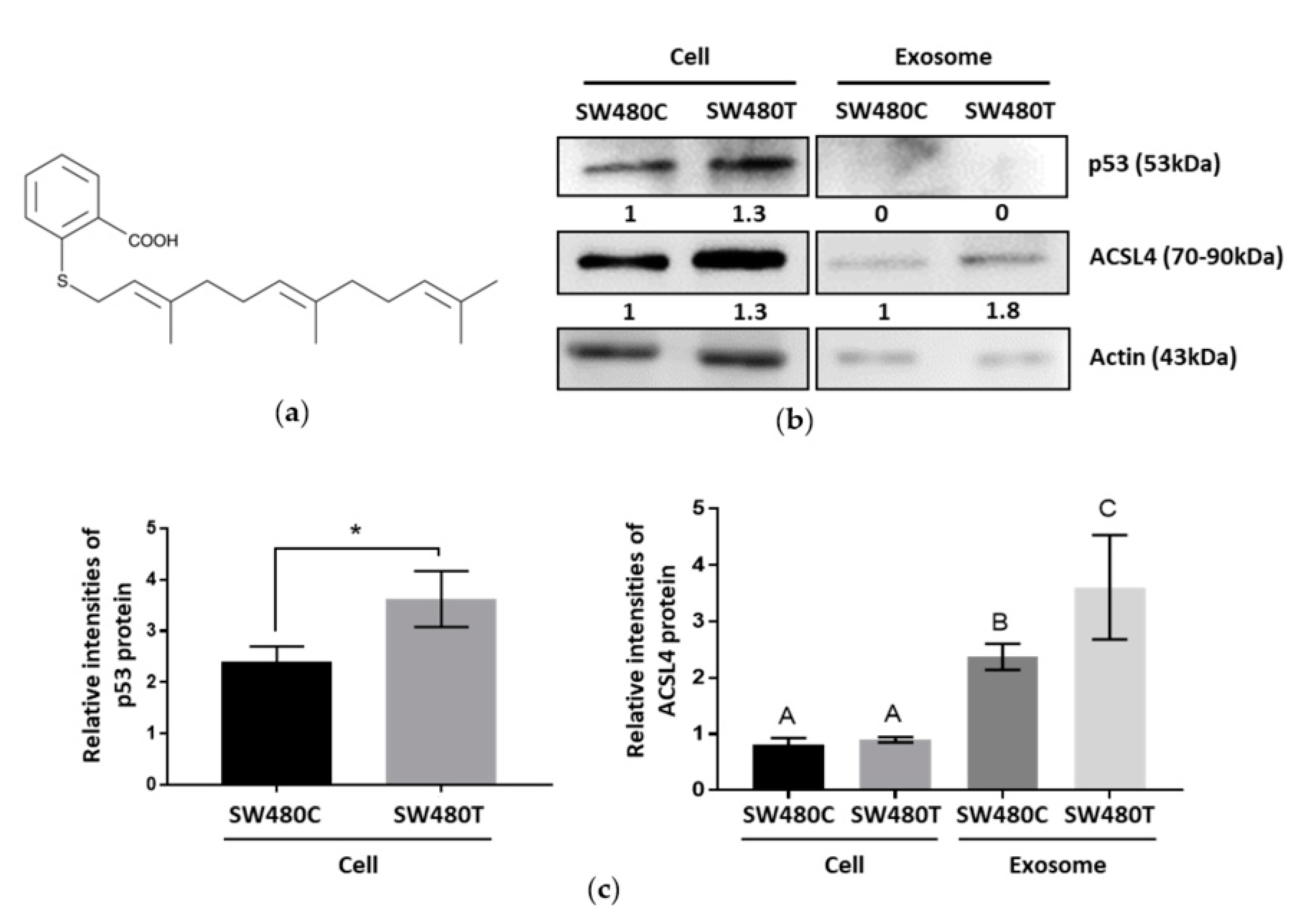 Biology 10 00058 g005 Biology 10 00058 g005