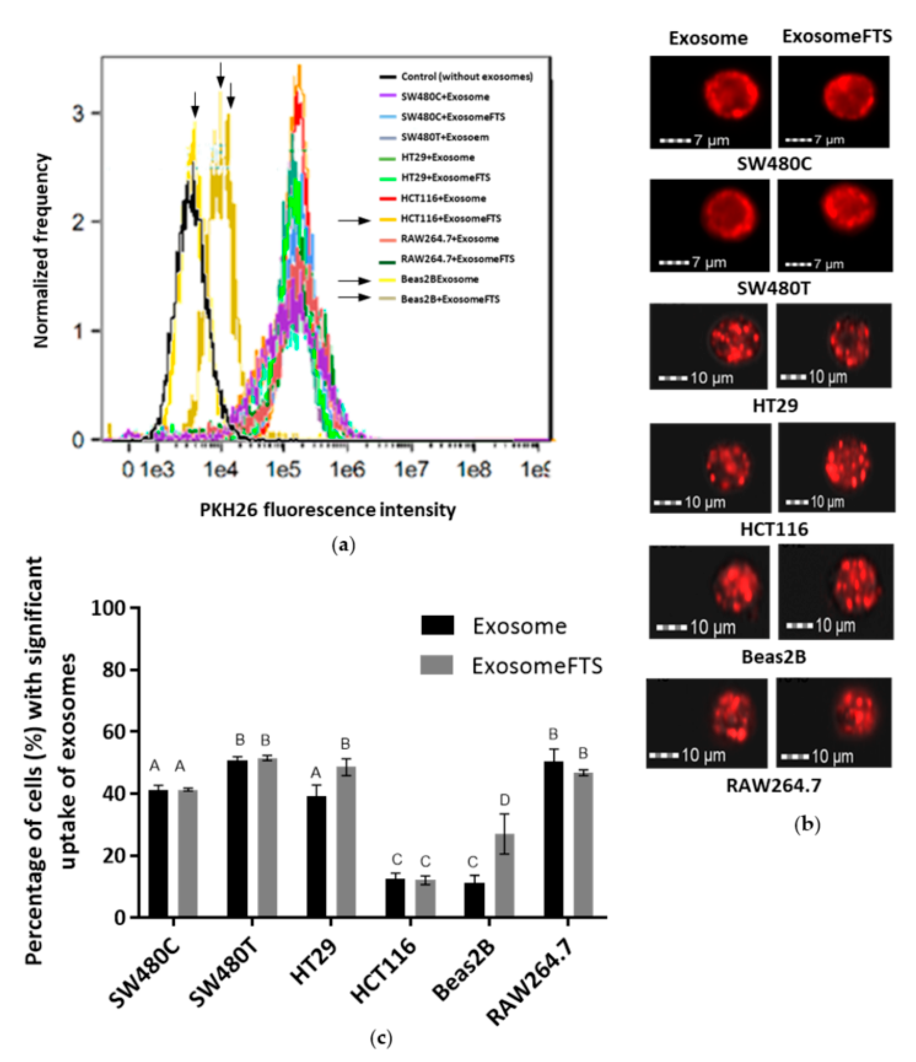 Biology 10 00058 g006 Biology 10 00058 g006