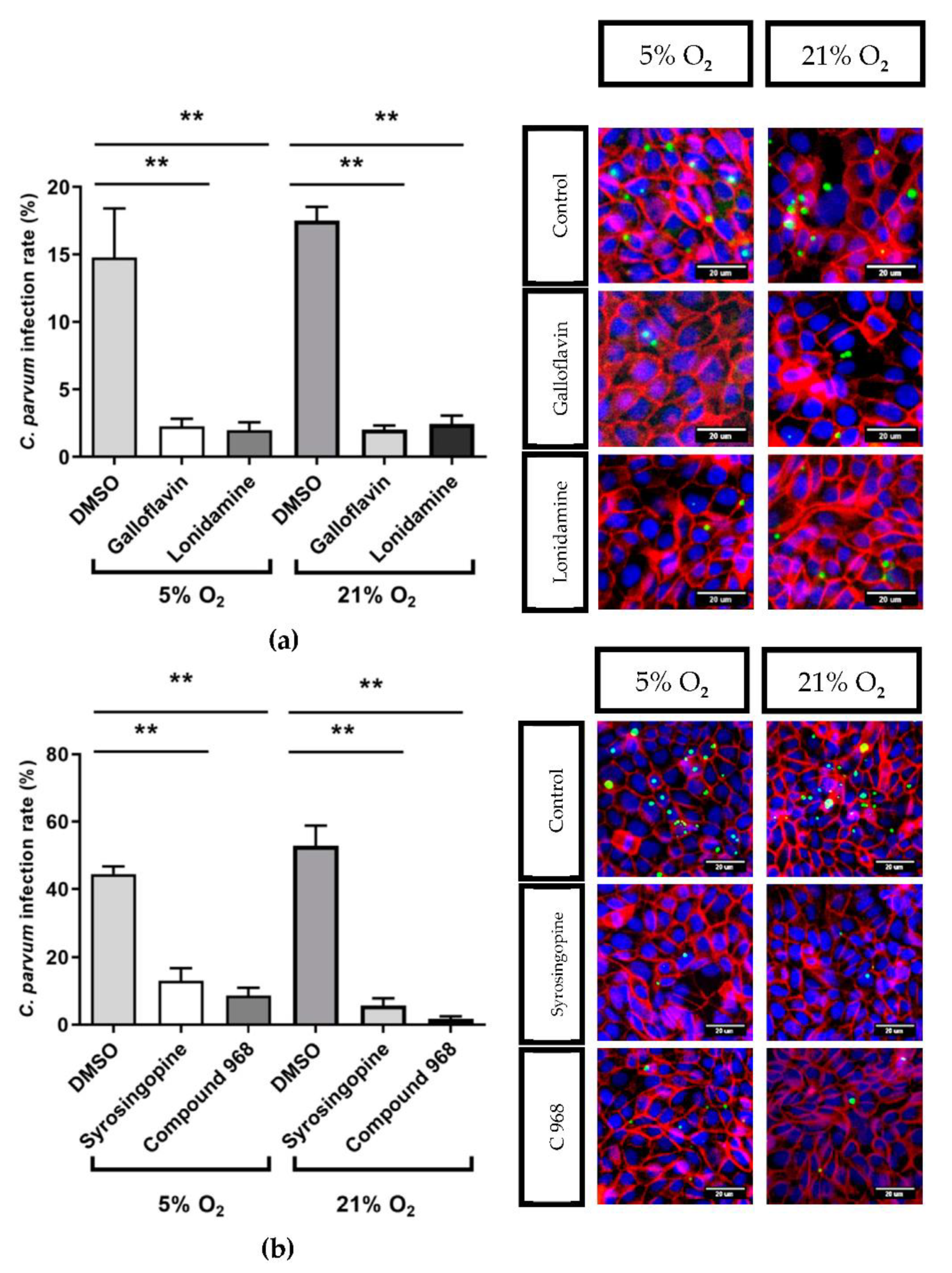 Biology 10 00060 g008 Biology 10 00060 g008