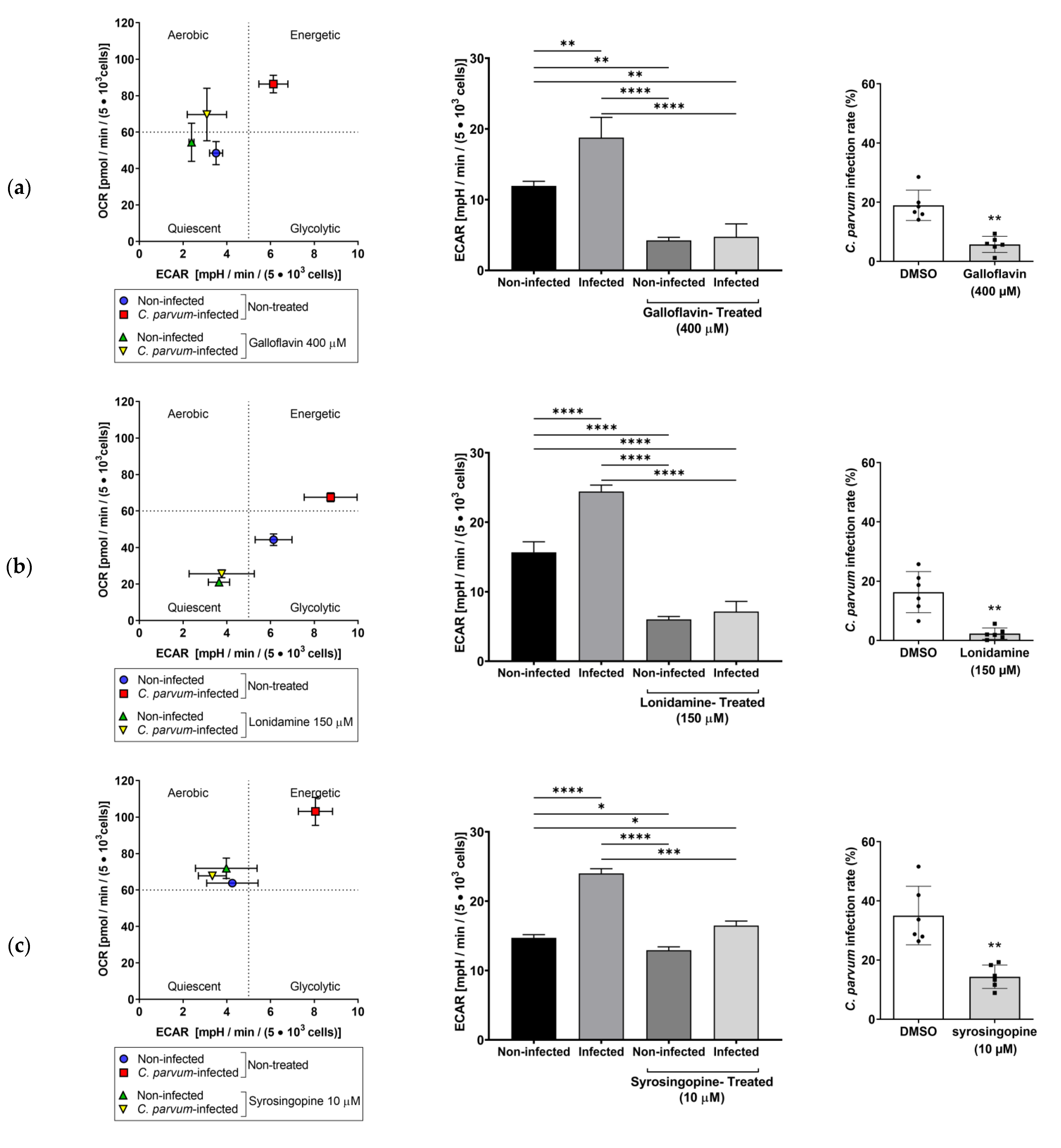 Biology 10 00060 g009a Biology 10 00060 g009a