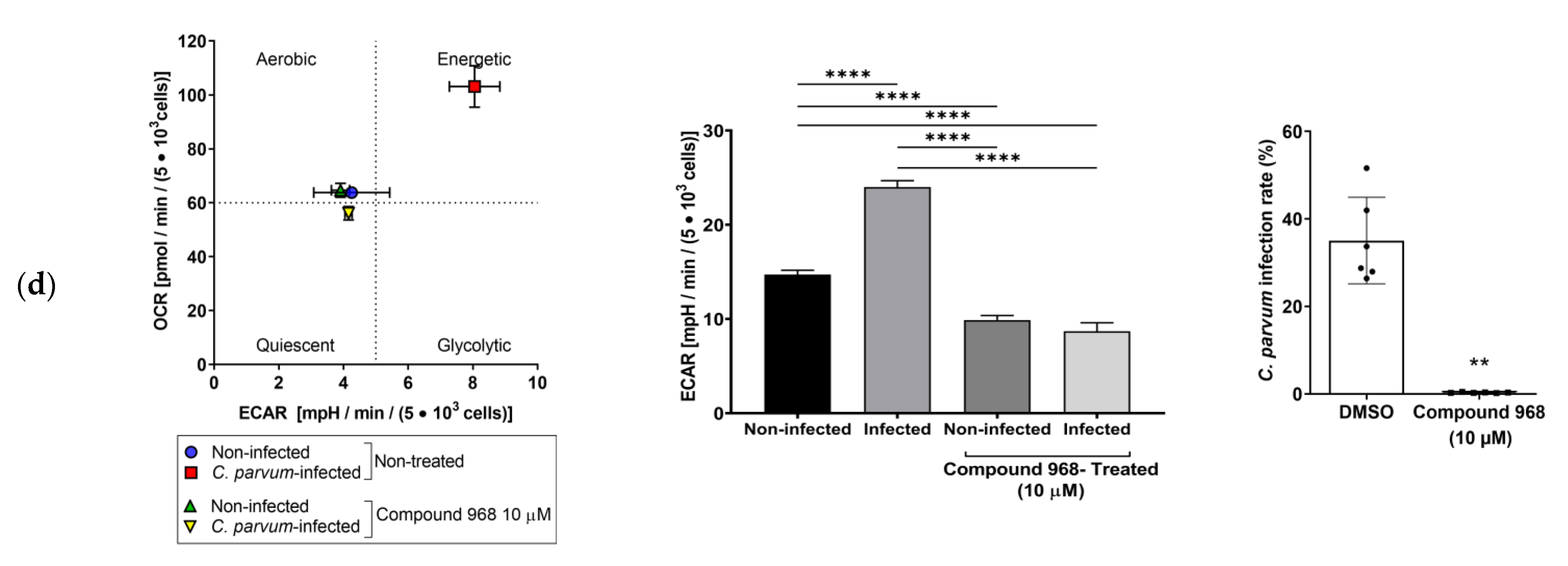 Biology 10 00060 g009b Biology 10 00060 g009b