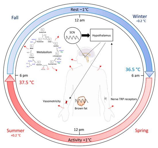 a–c Comparison of temperature transient evolution for three different