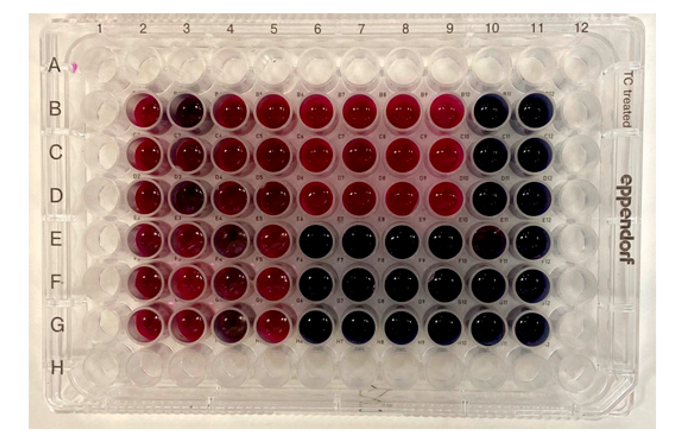 Biology 10 00067 g005 Biology 10 00067 g005