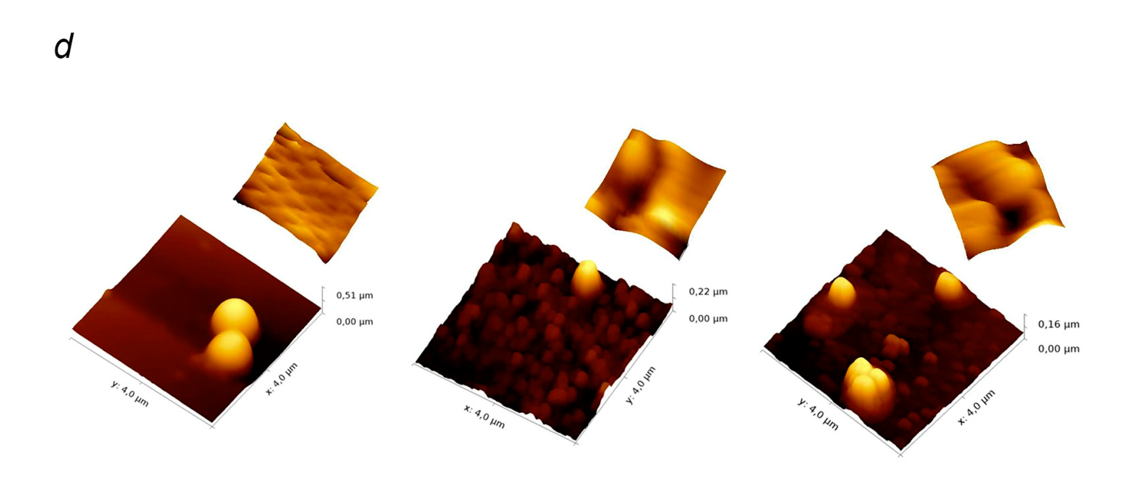 Biology 10 00067 g006b Biology 10 00067 g006b