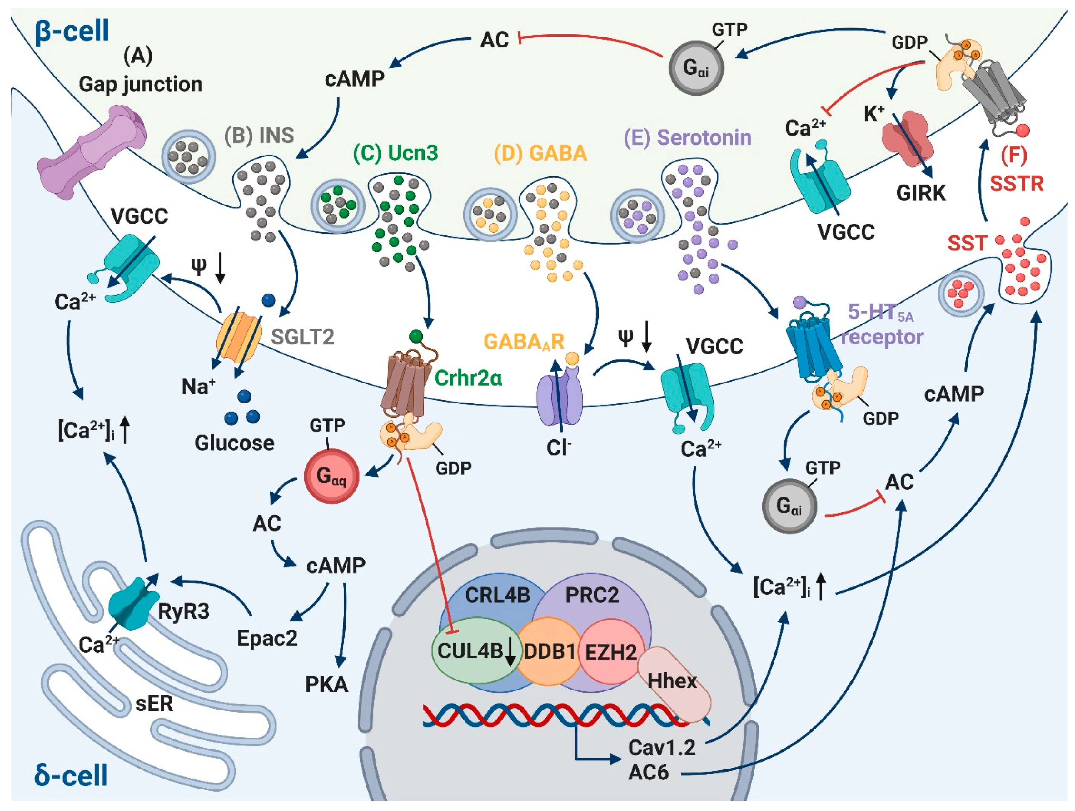Biology 10 00074 g003 Biology 10 00074 g003