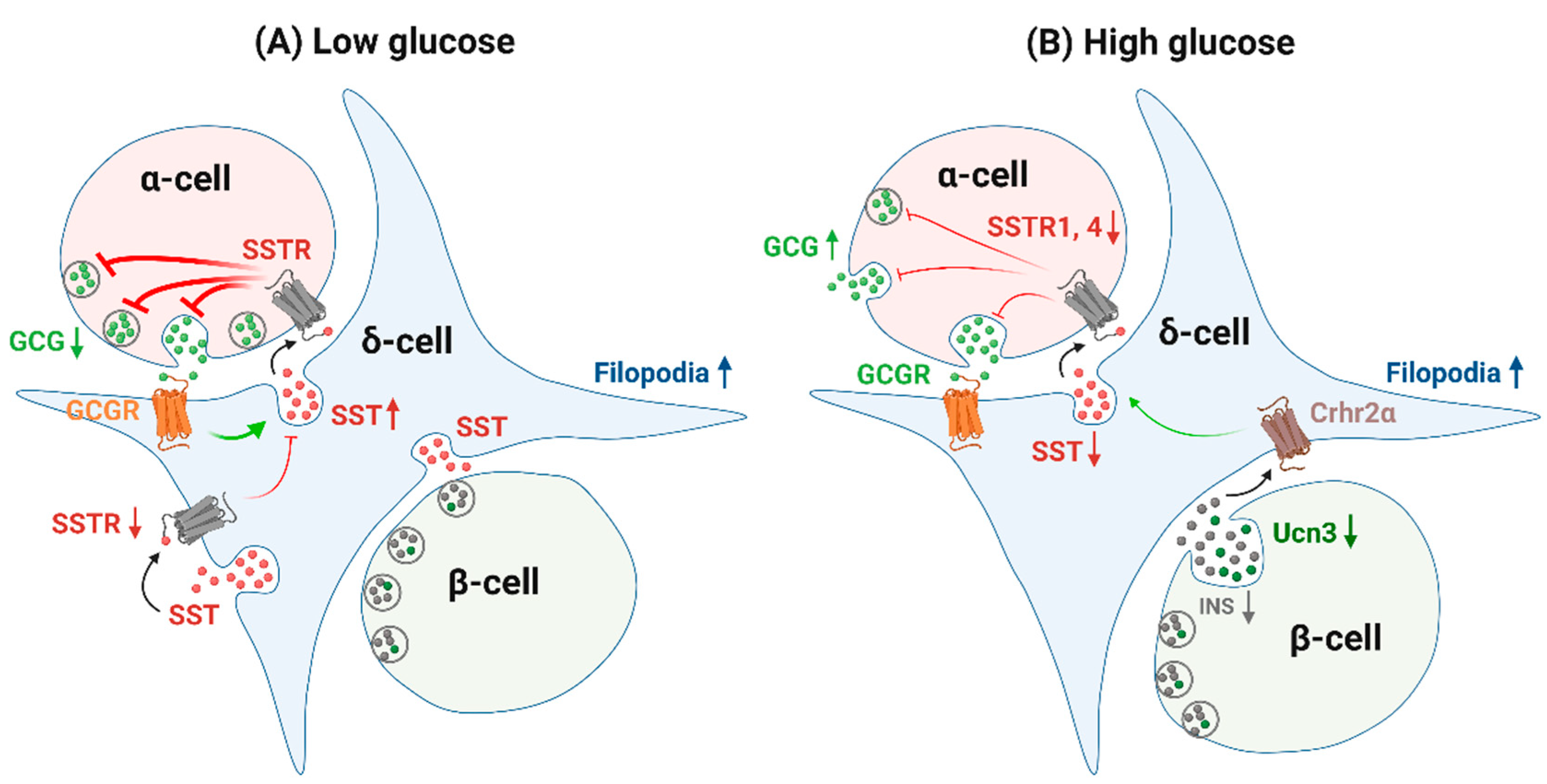 Biology 10 00074 g005 Biology 10 00074 g005