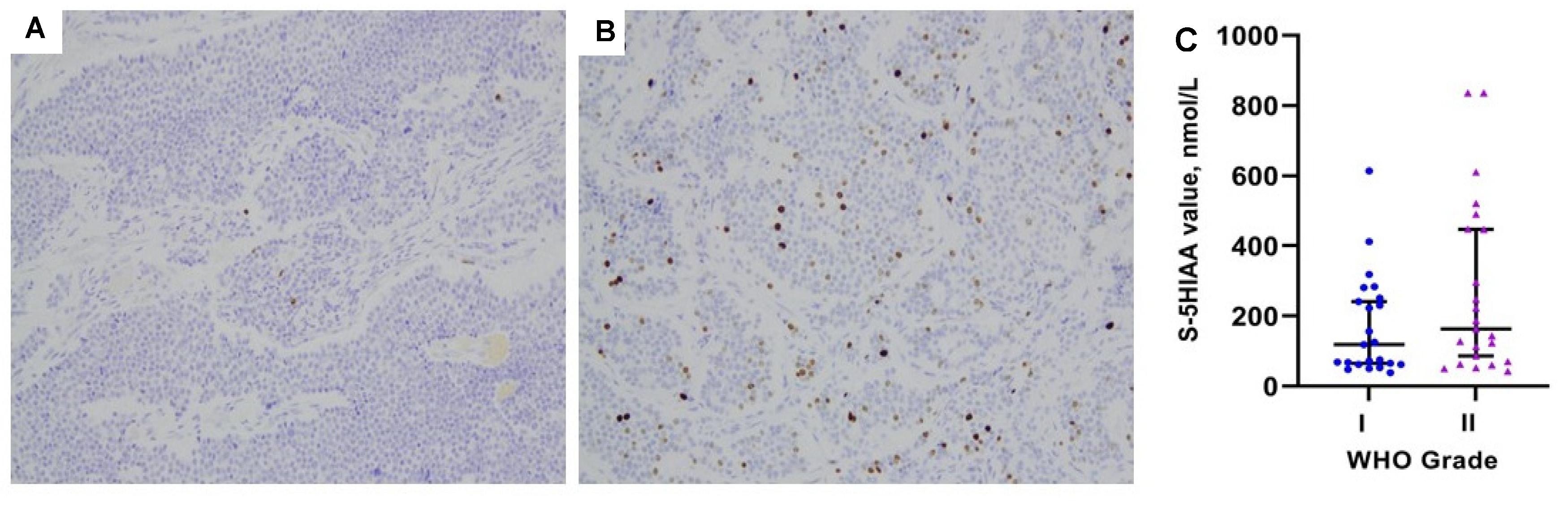 Biology 10 00076 g003 Biology 10 00076 g003