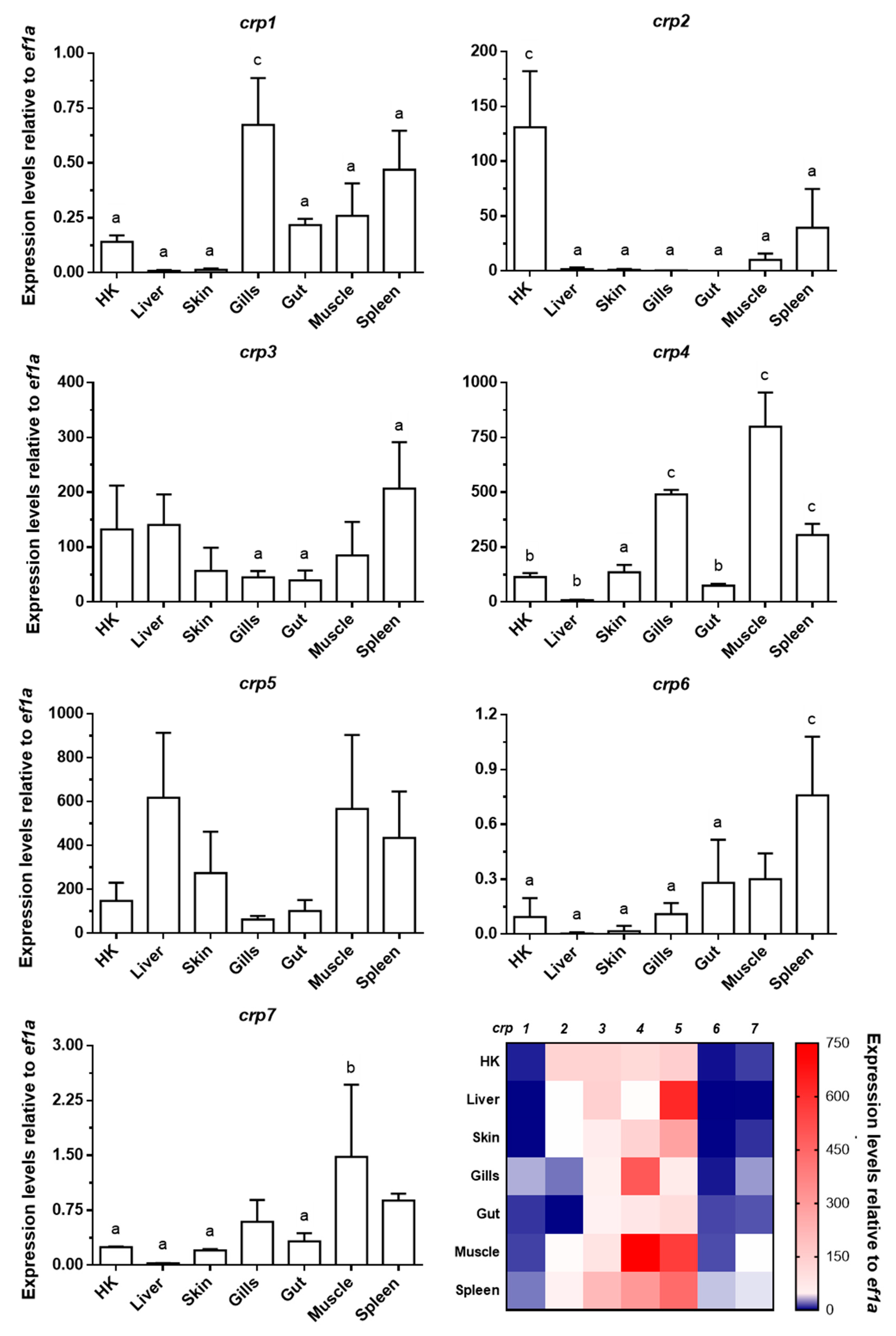Biology 10 00078 g001