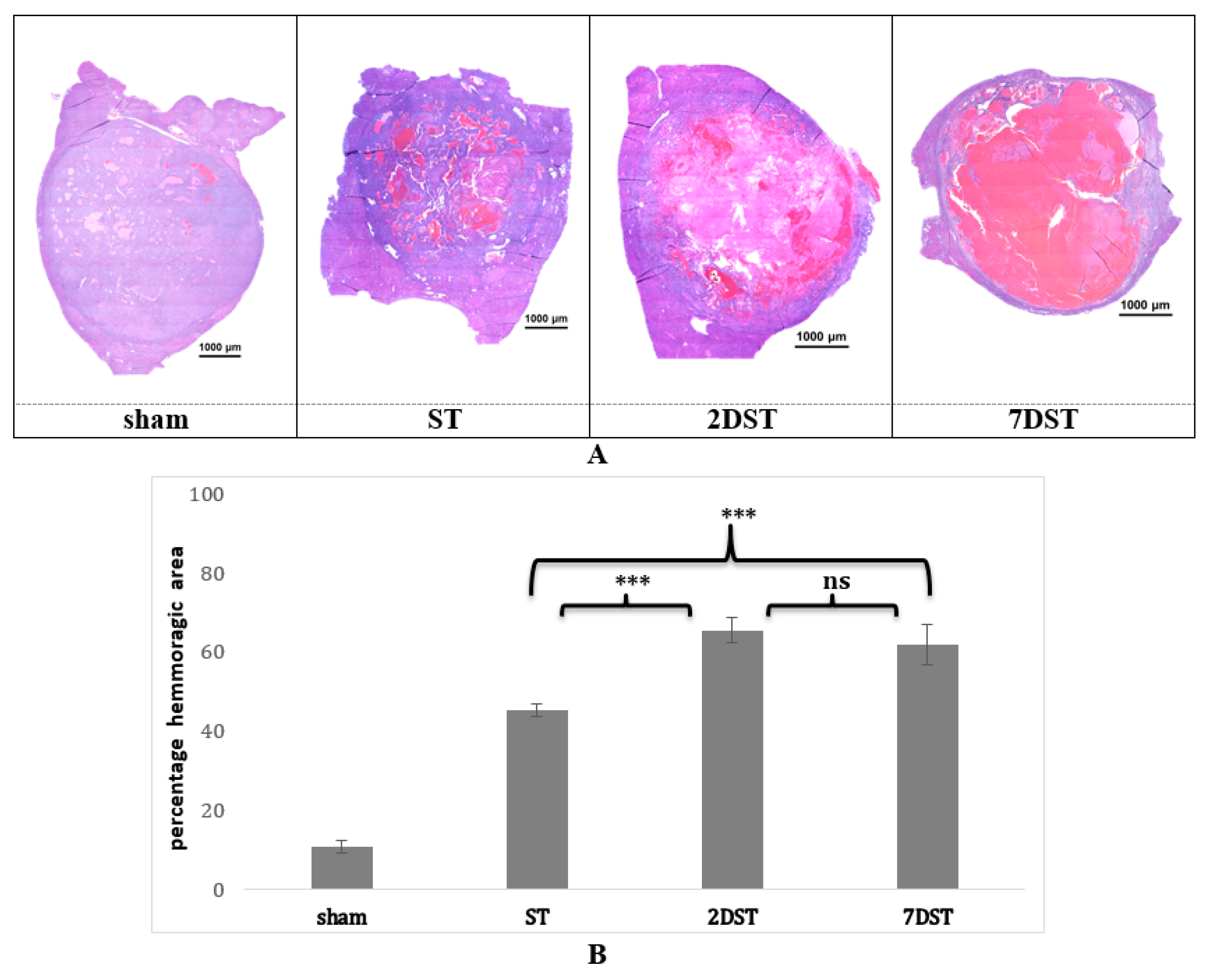 Biology 10 00079 g007