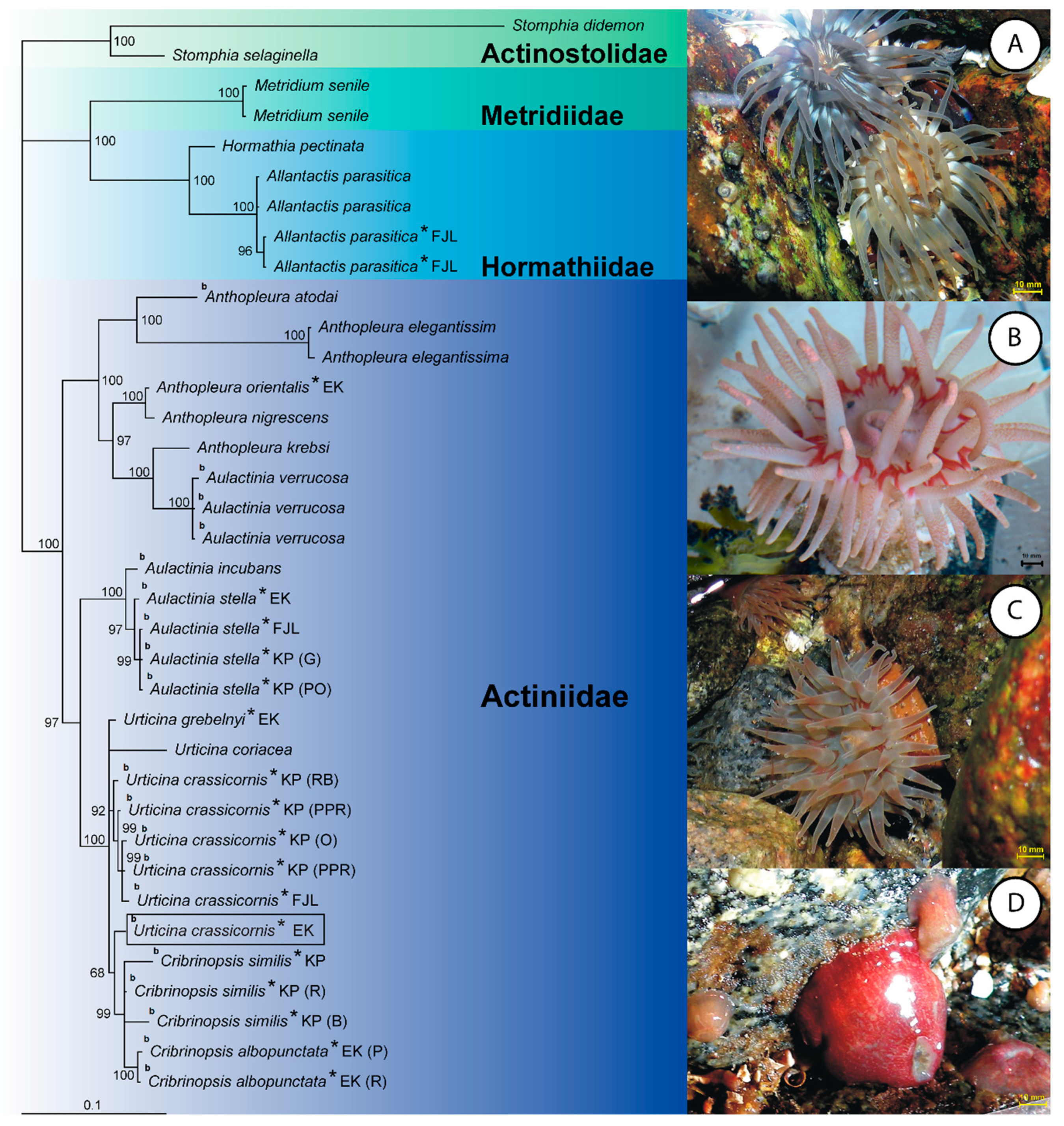 Biology 10 00081 g002