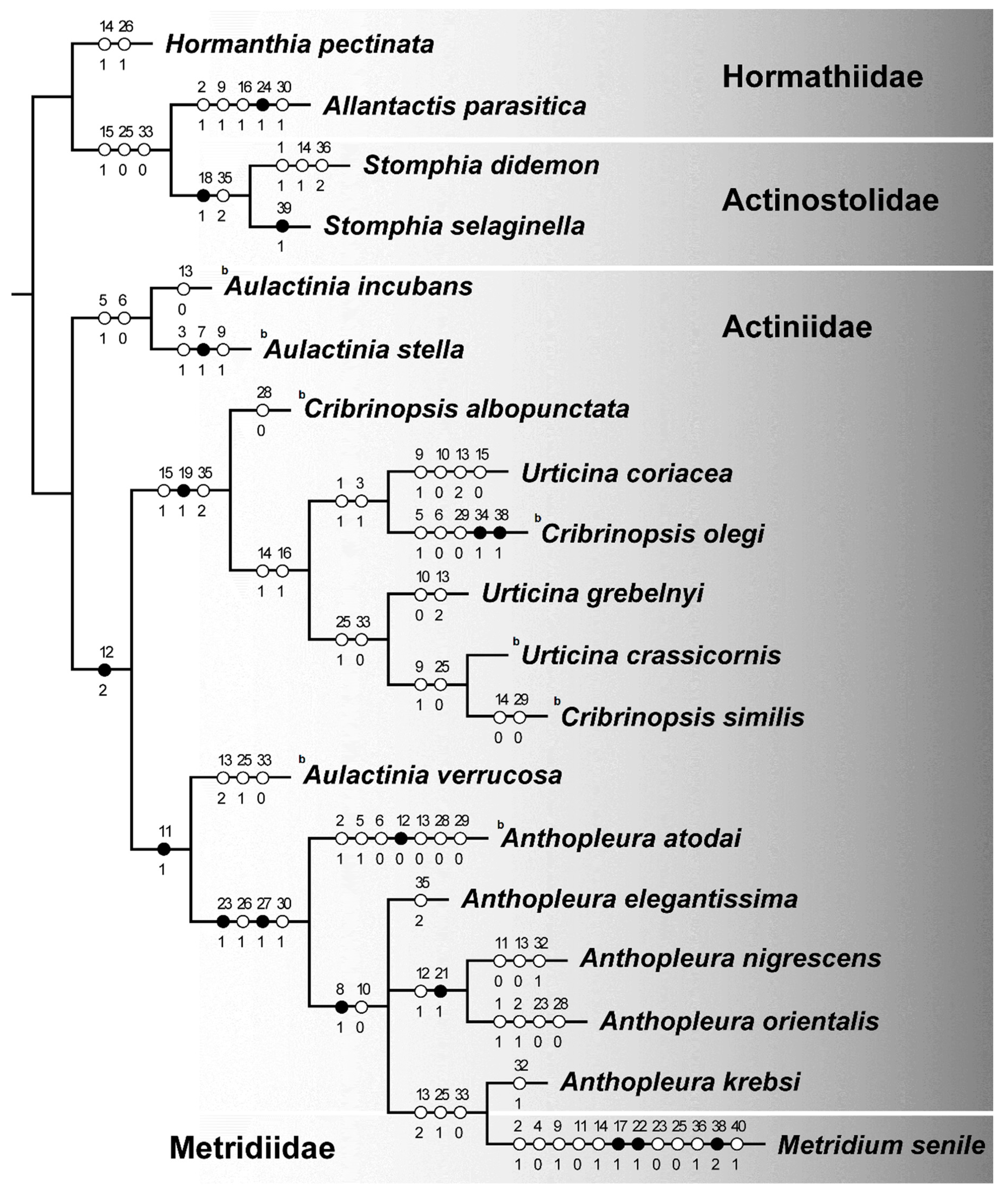 Biology 10 00081 g004