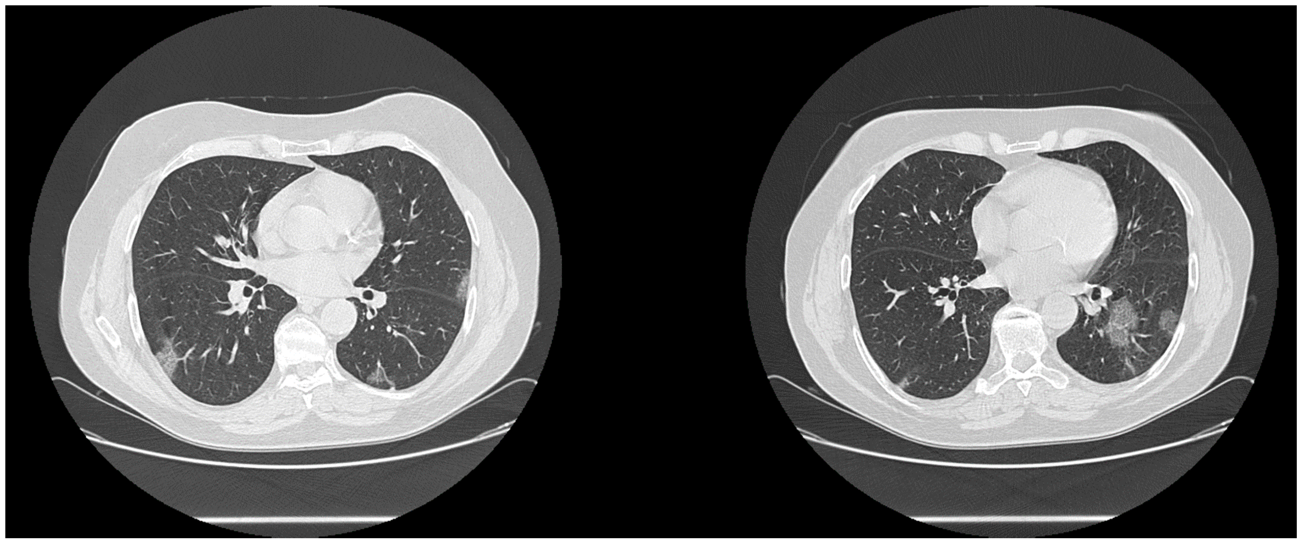 Biology 10 00089 g002