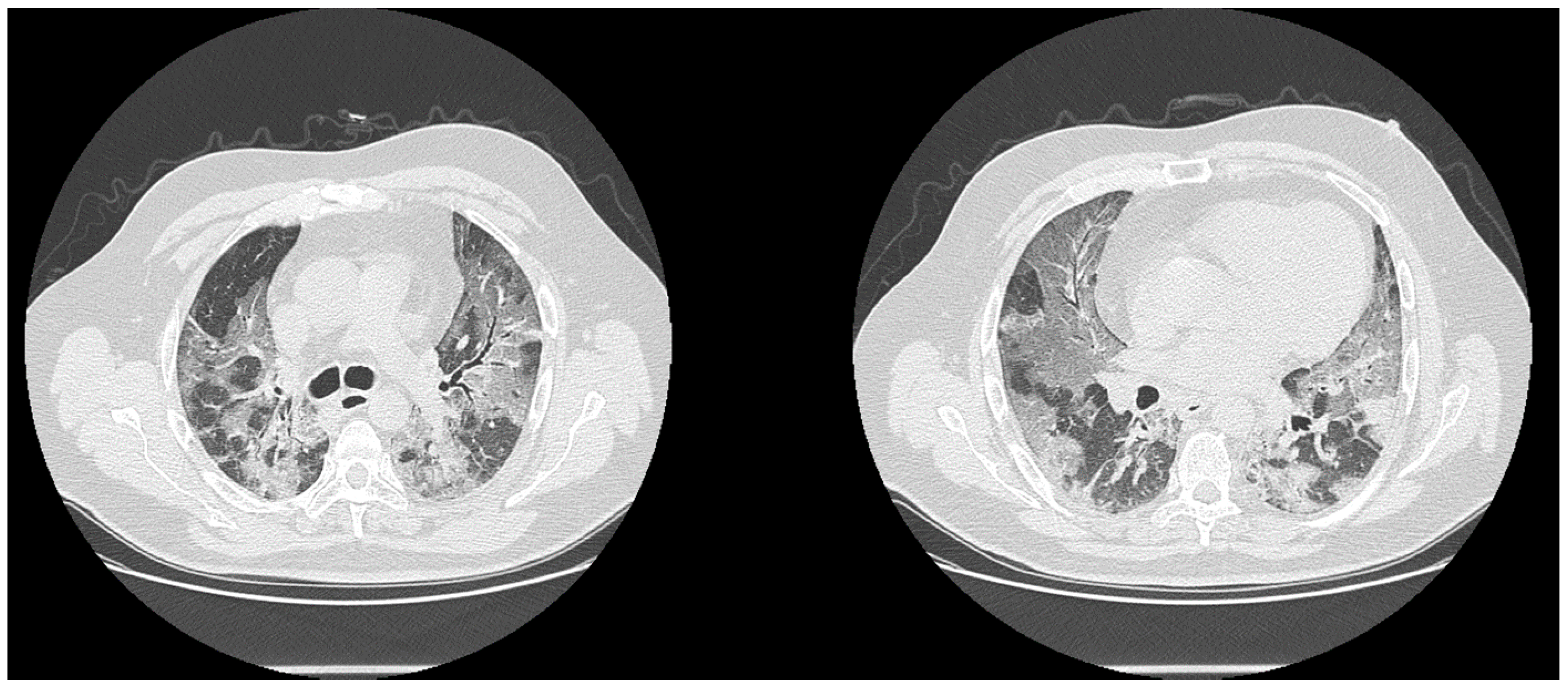 Biology 10 00089 g005