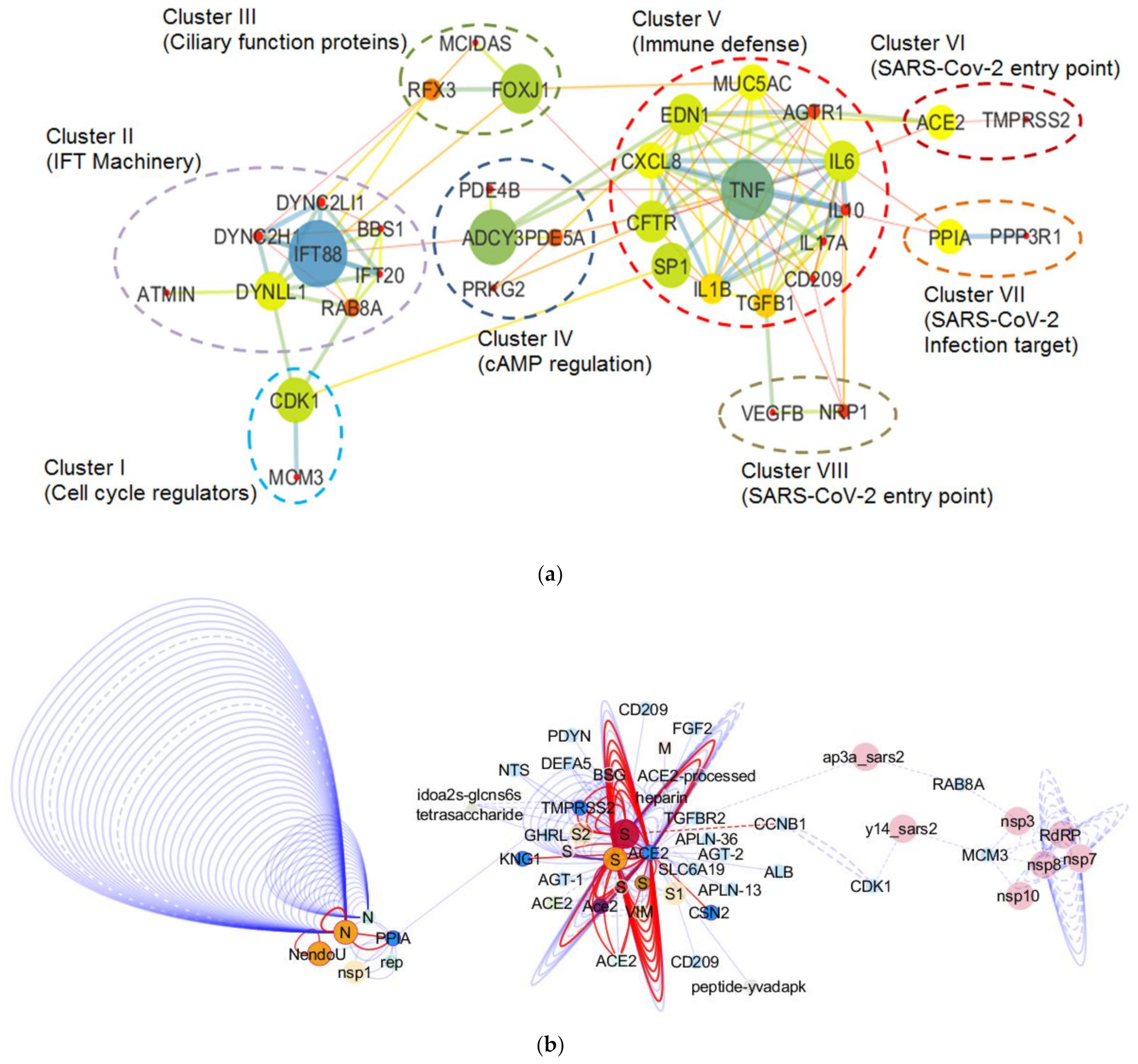 Biology 10 00095 g004 Biology 10 00095 g004