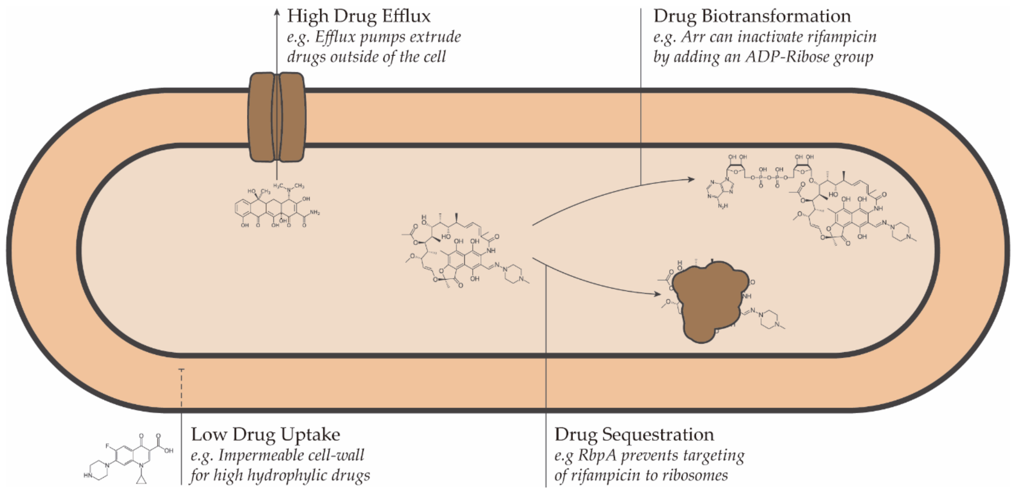 Biology 10 00096 g001 Biology 10 00096 g001