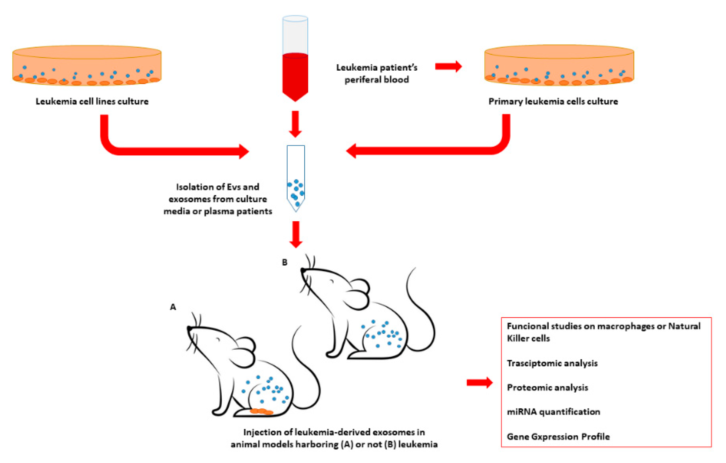 Biology 10 00105 g002 Biology 10 00105 g002