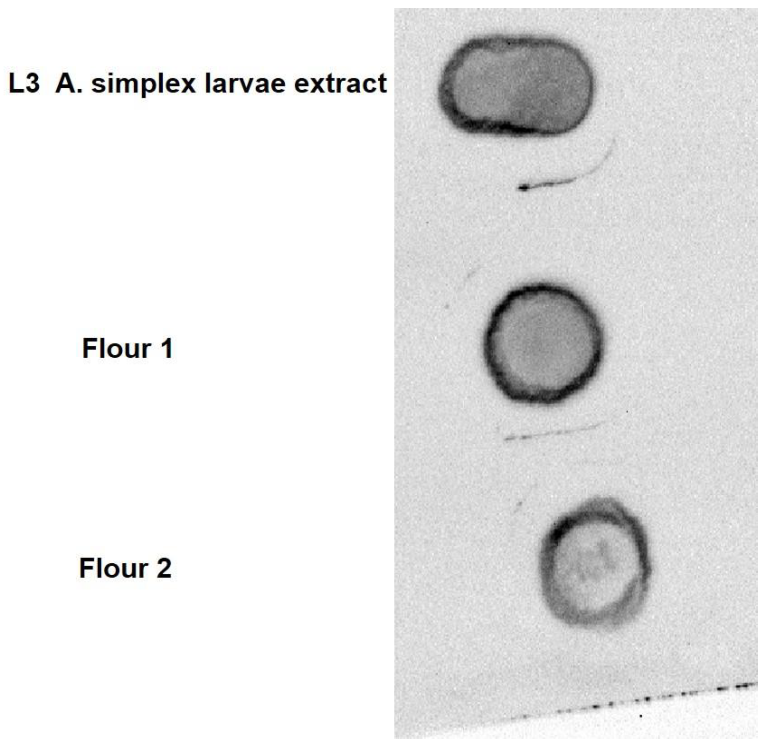 Biology 10 00106 g002 Biology 10 00106 g002