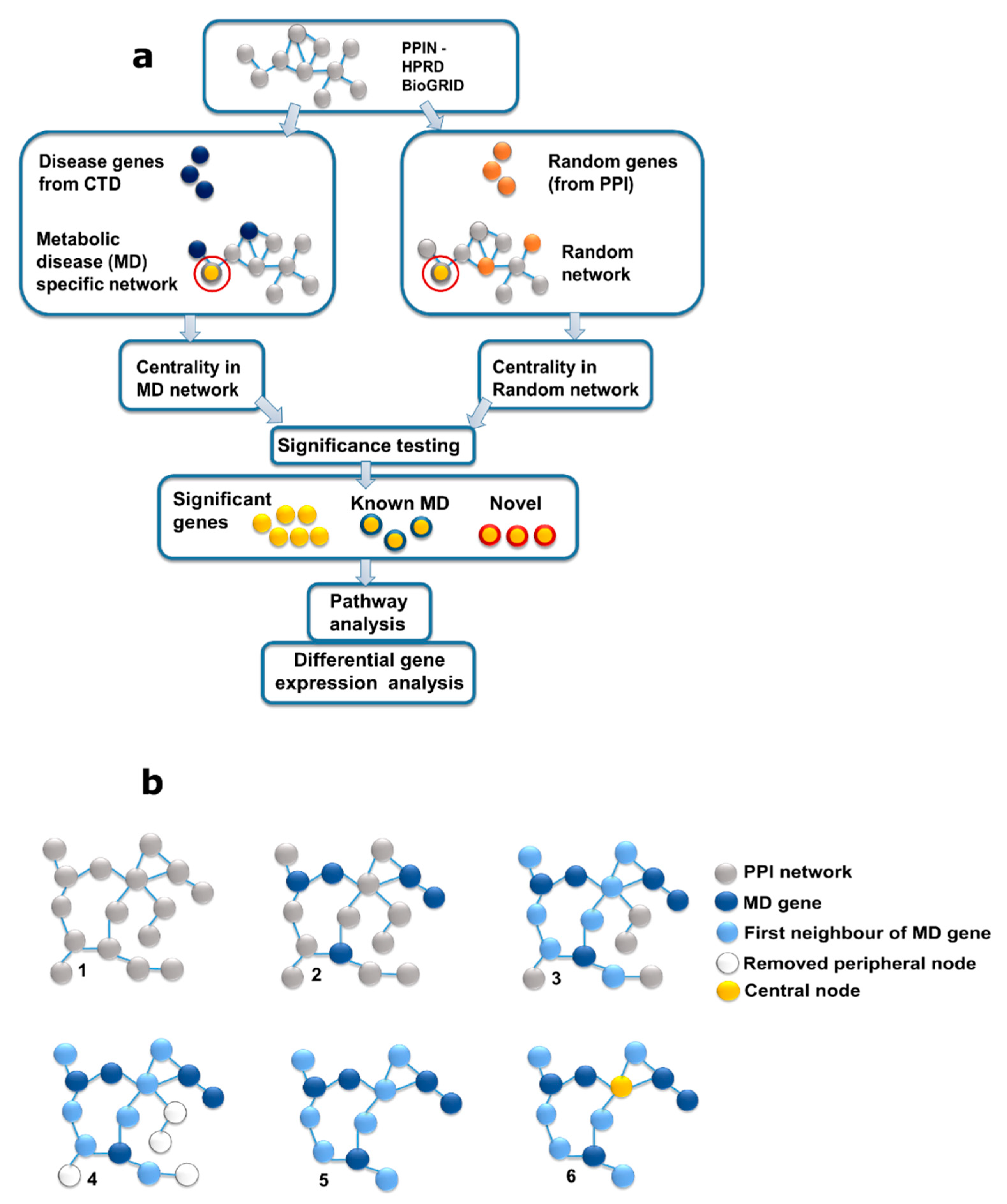 Biology 10 00107 g001 Biology 10 00107 g001