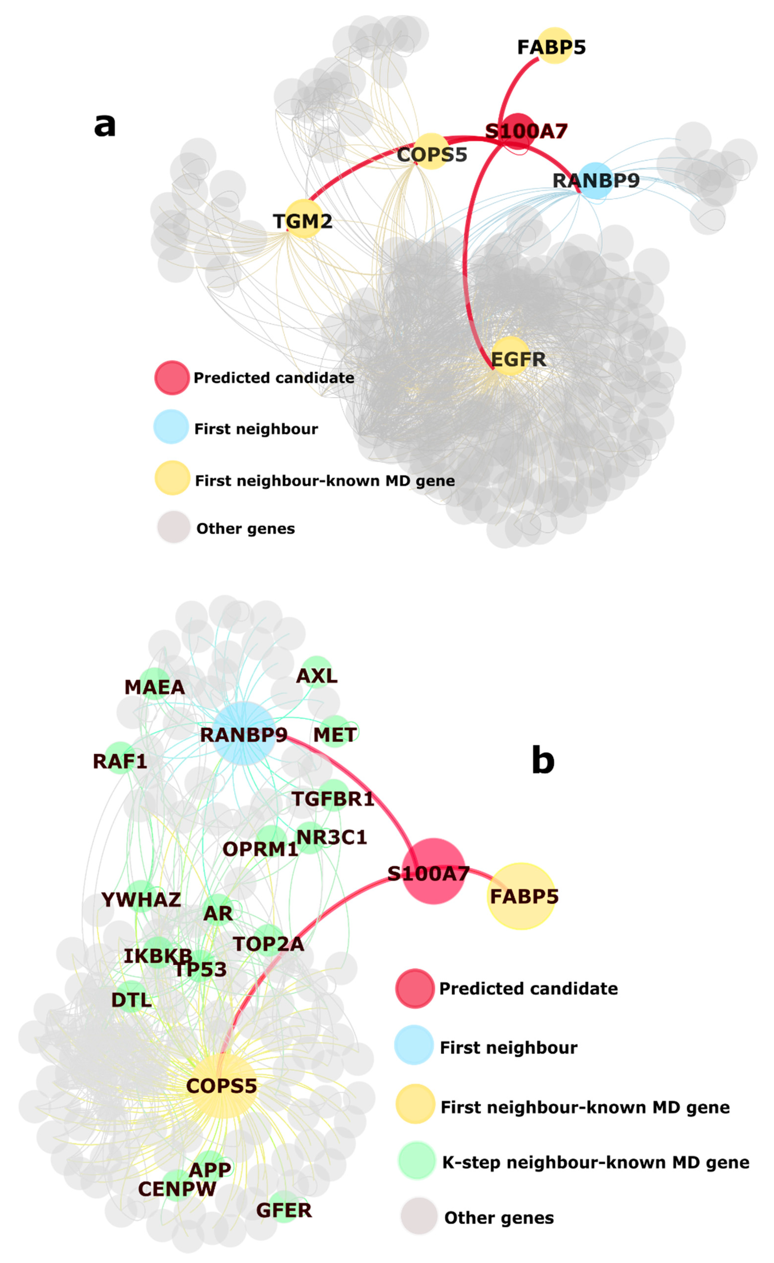 Biology 10 00107 g004 Biology 10 00107 g004