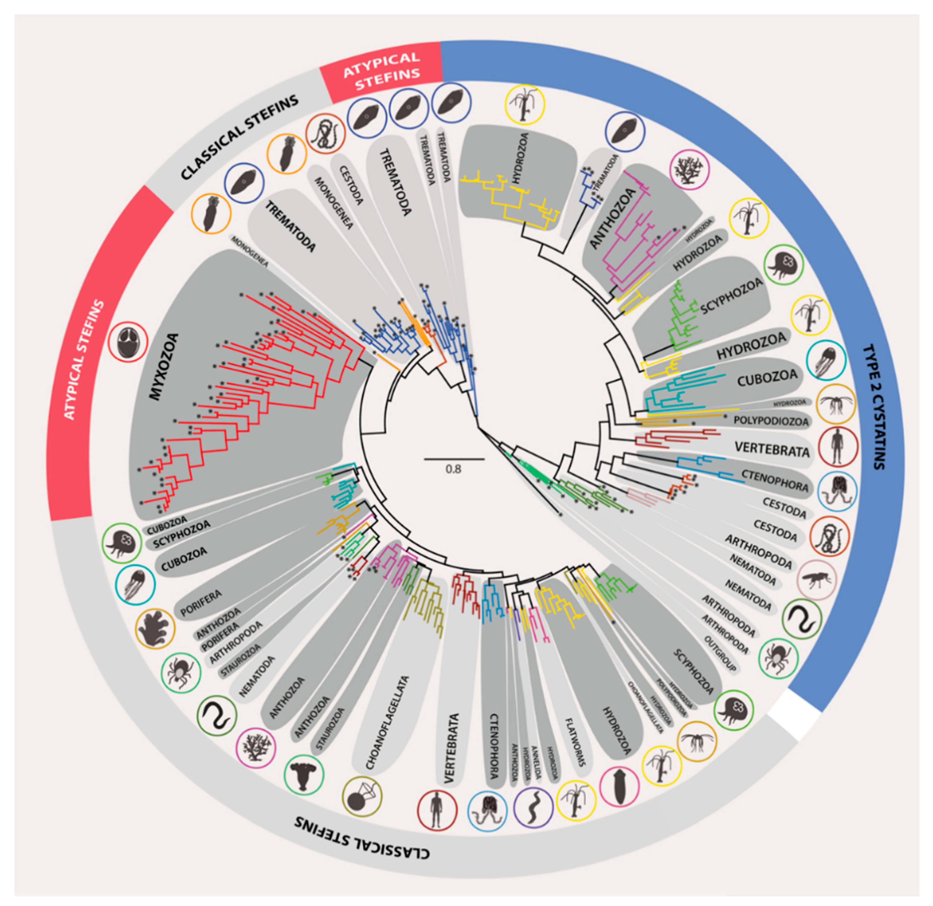Biology 10 00110 g003