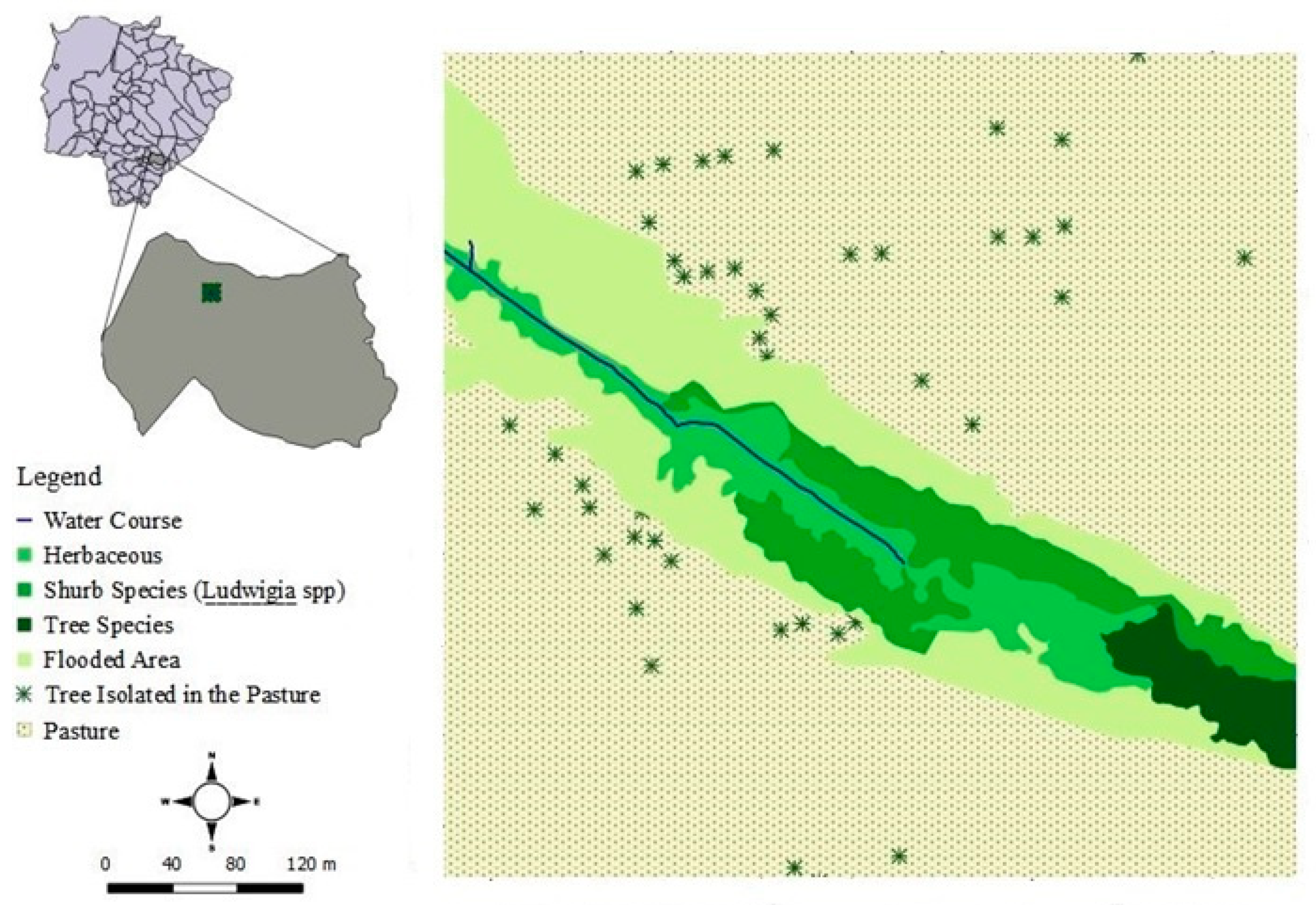 Biology 10 00114 g001