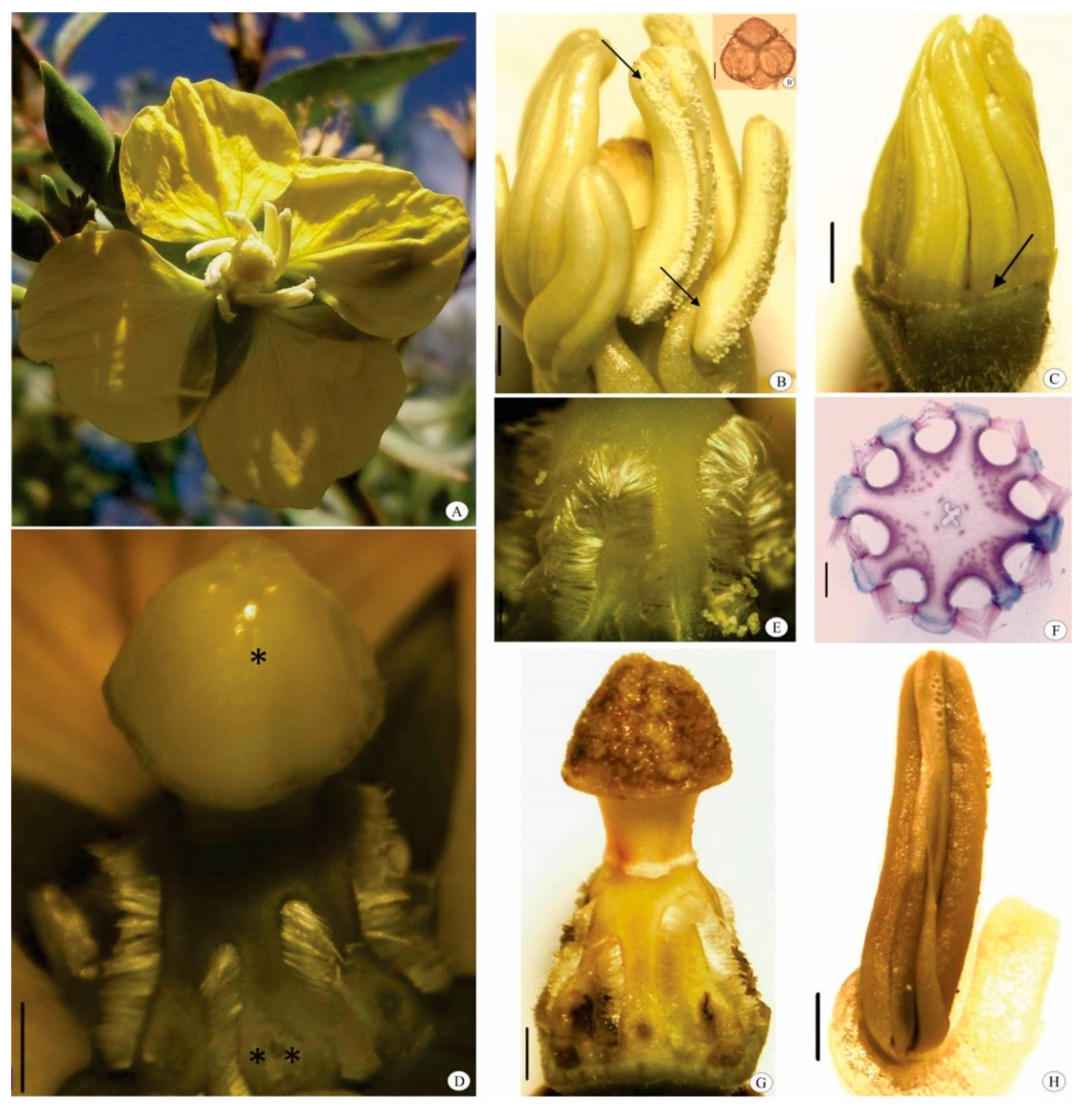 Biology 10 00114 g003