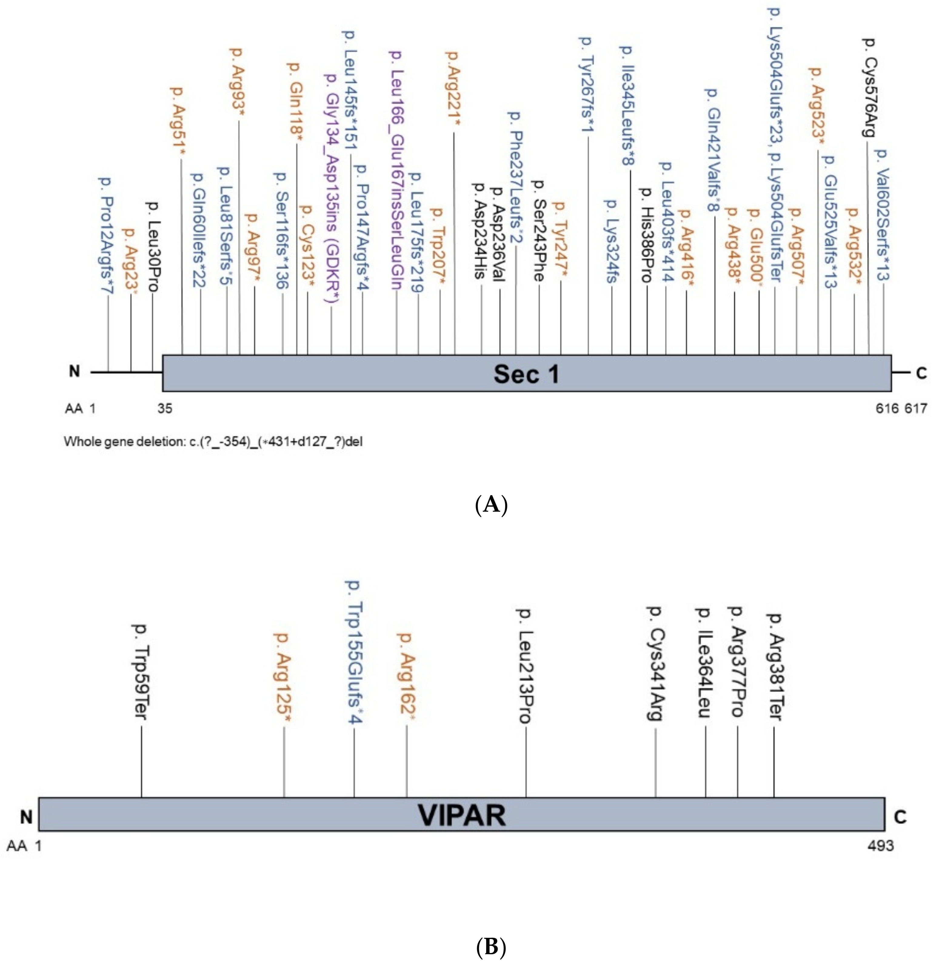 Biology 10 00119 g002