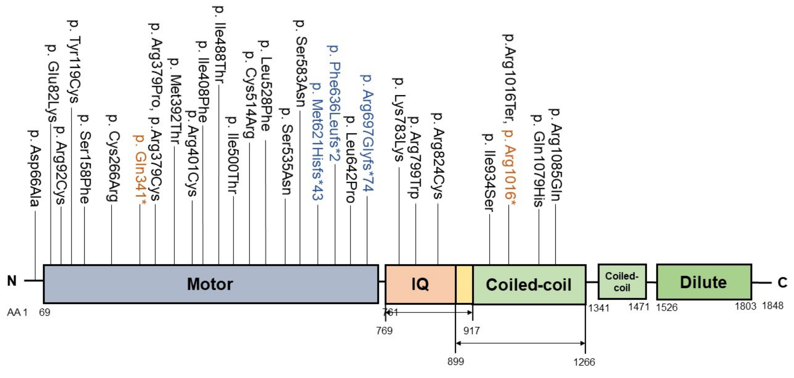 Biology 10 00119 g004