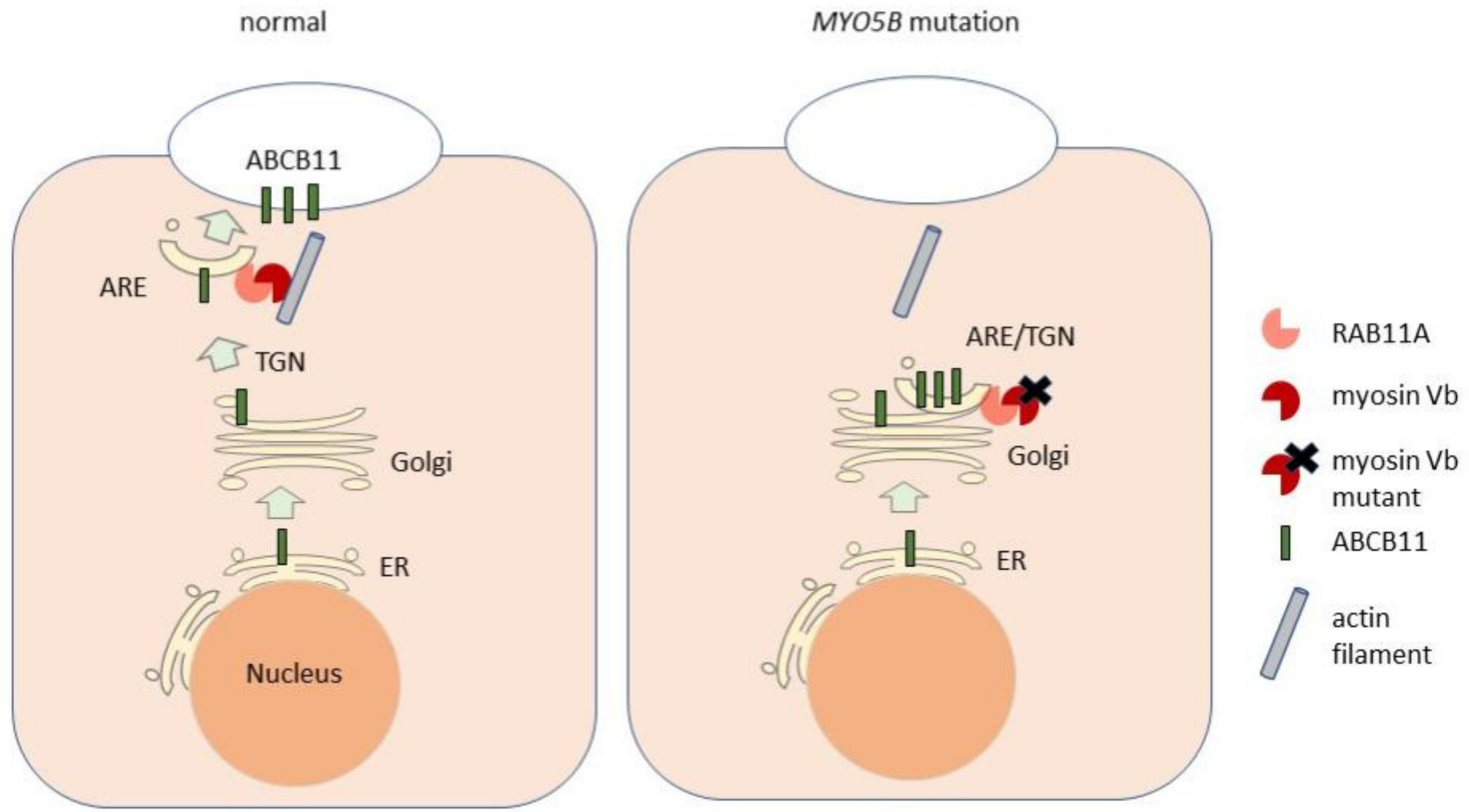 Biology 10 00119 g005
