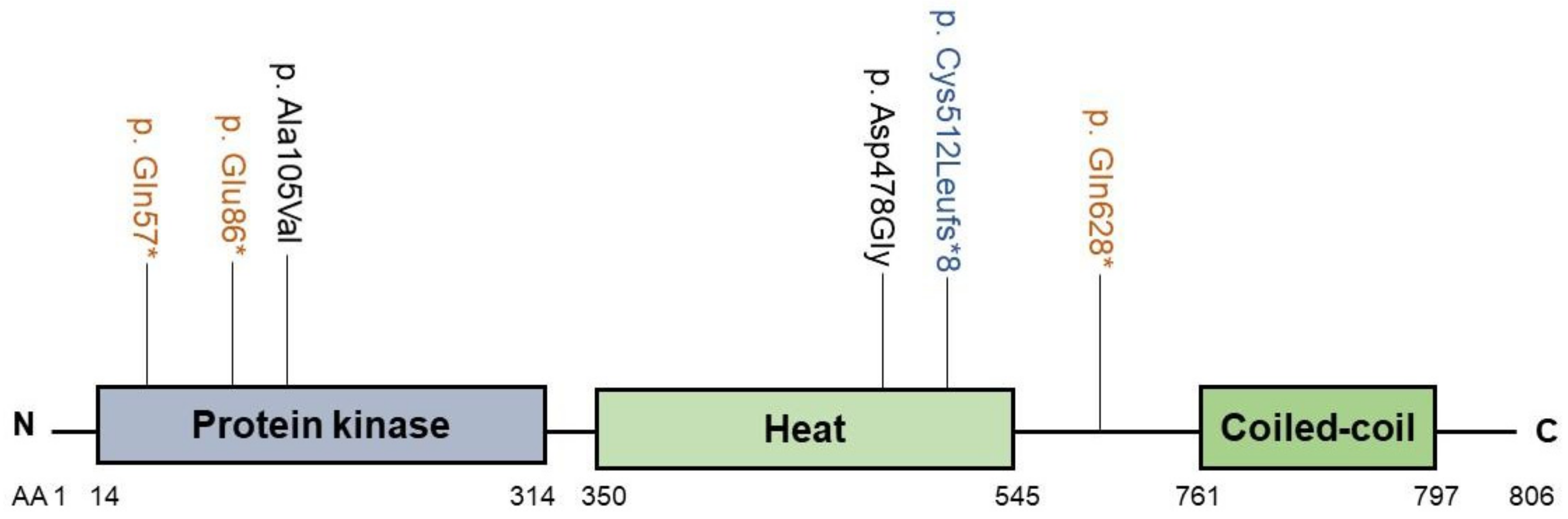 Biology 10 00119 g007