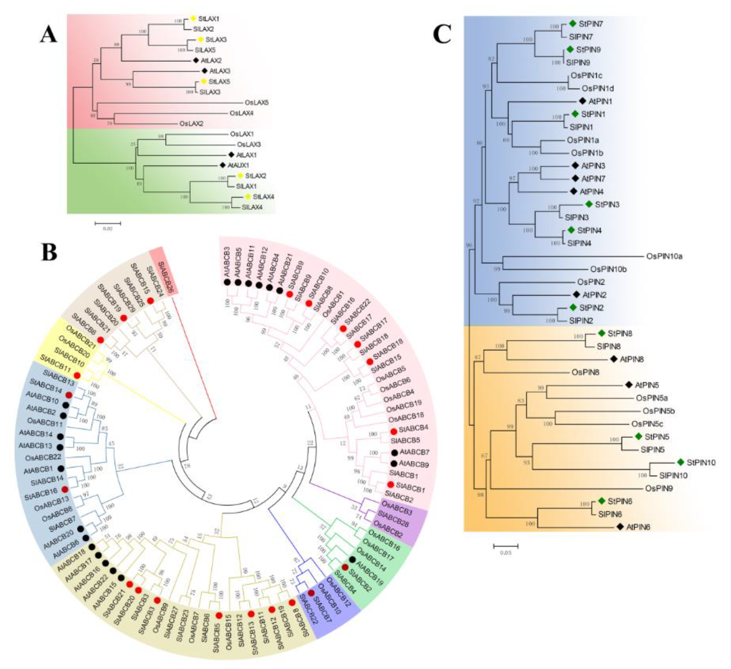 Biology 10 00127 g002 Biology 10 00127 g002