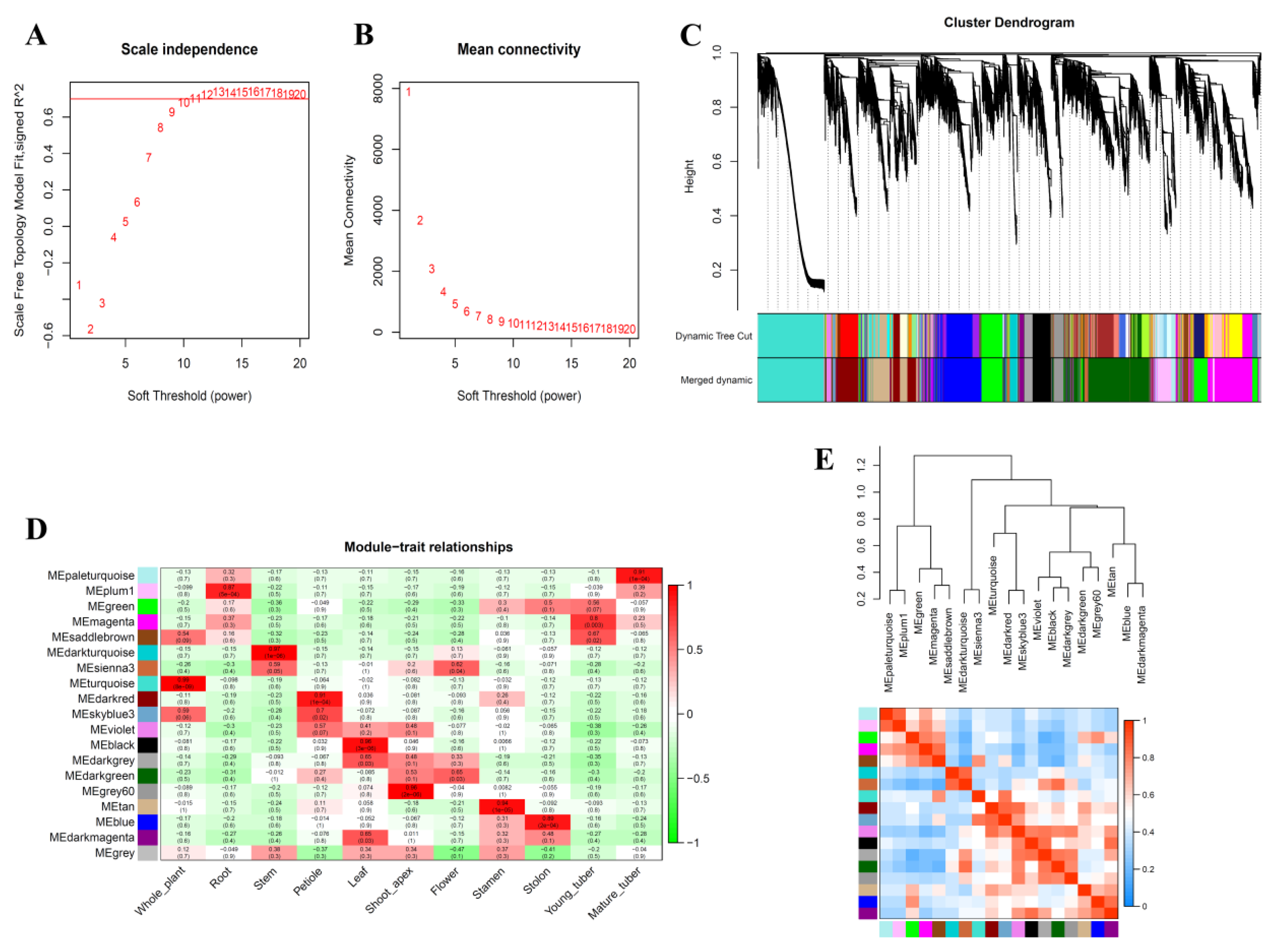 Biology 10 00127 g003 Biology 10 00127 g003