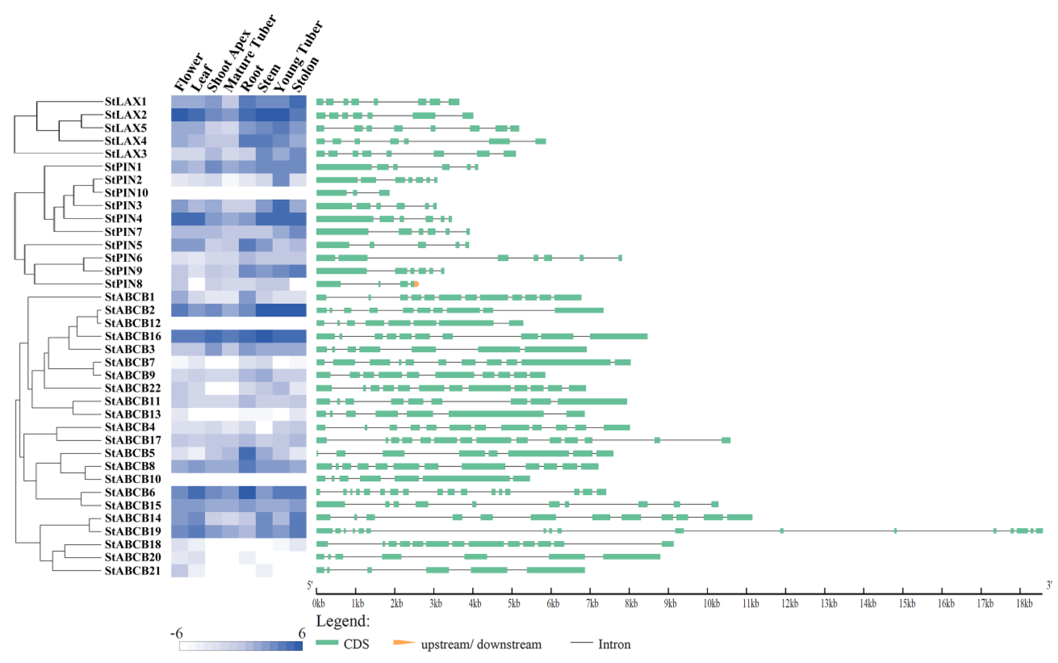 Biology 10 00127 g004 Biology 10 00127 g004