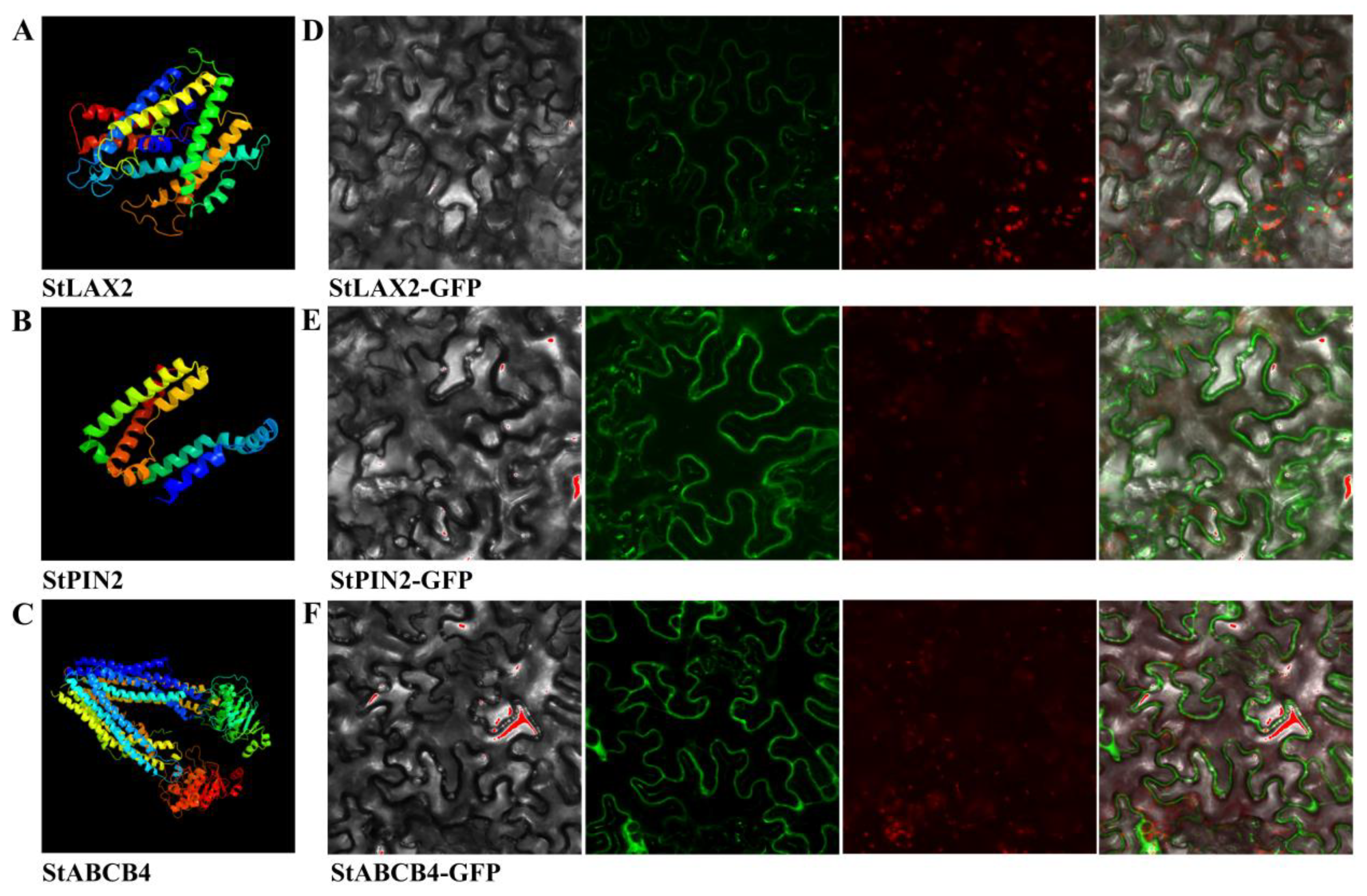 Biology 10 00127 g005 Biology 10 00127 g005