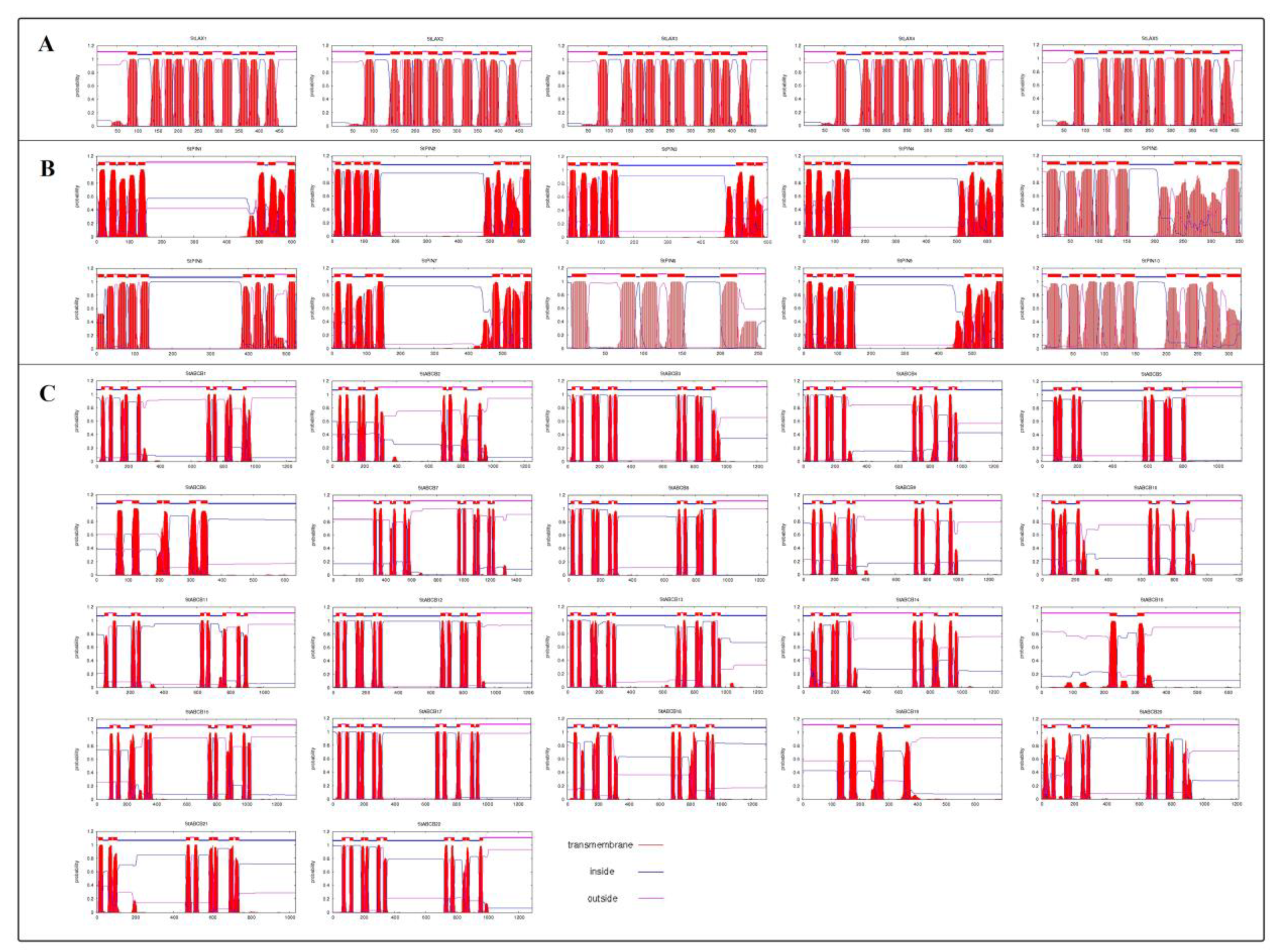 Biology 10 00127 g0a1 Biology 10 00127 g0a1