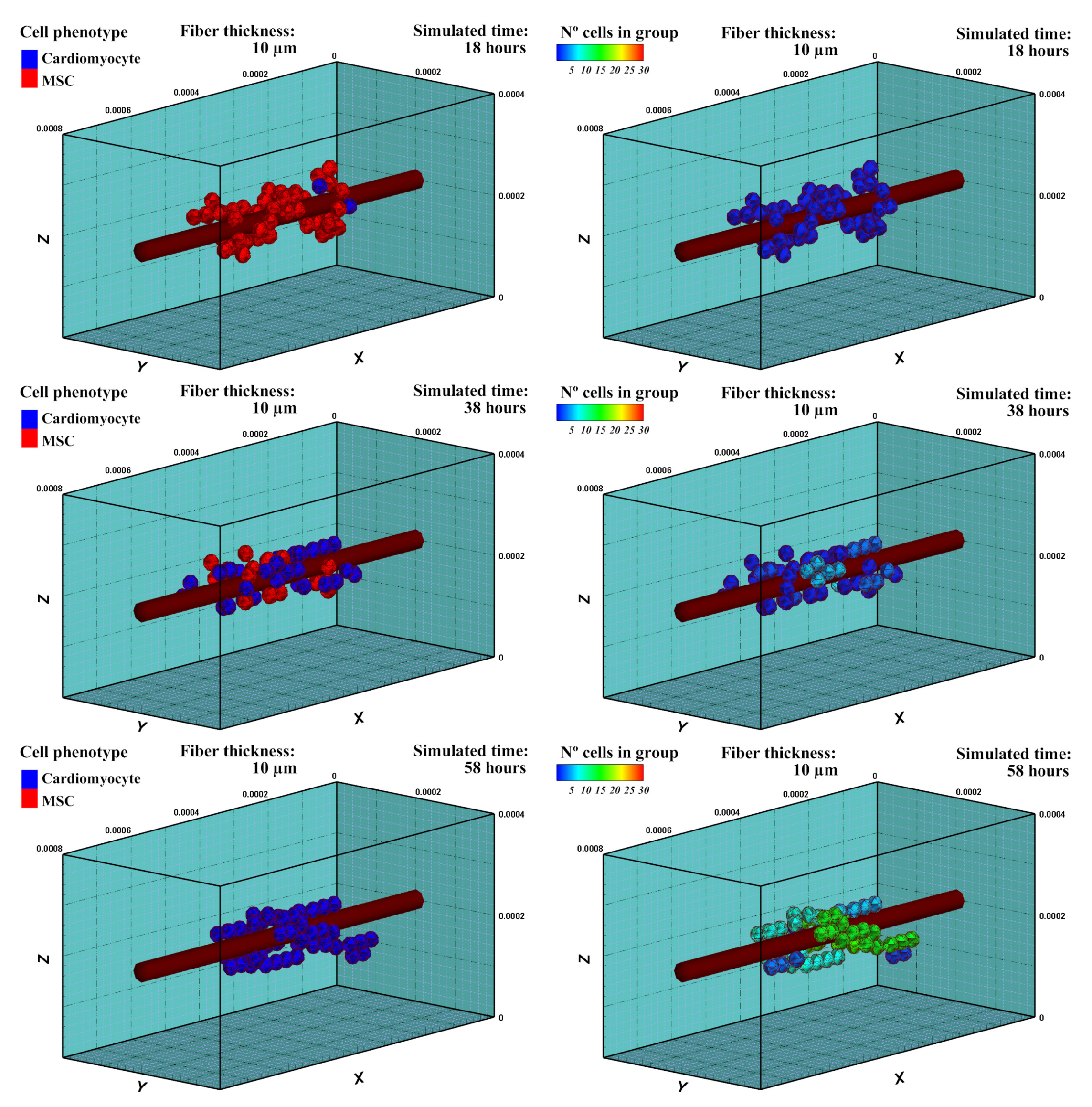 Biology 10 00135 g007