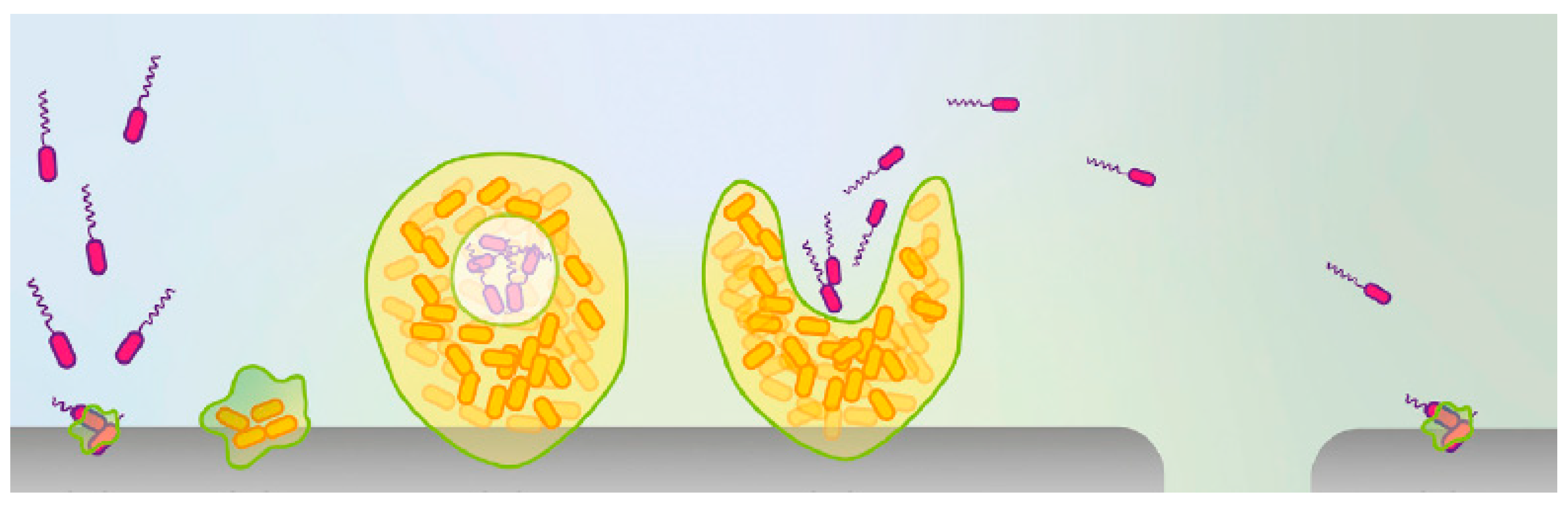 Biology 10 00137 g002