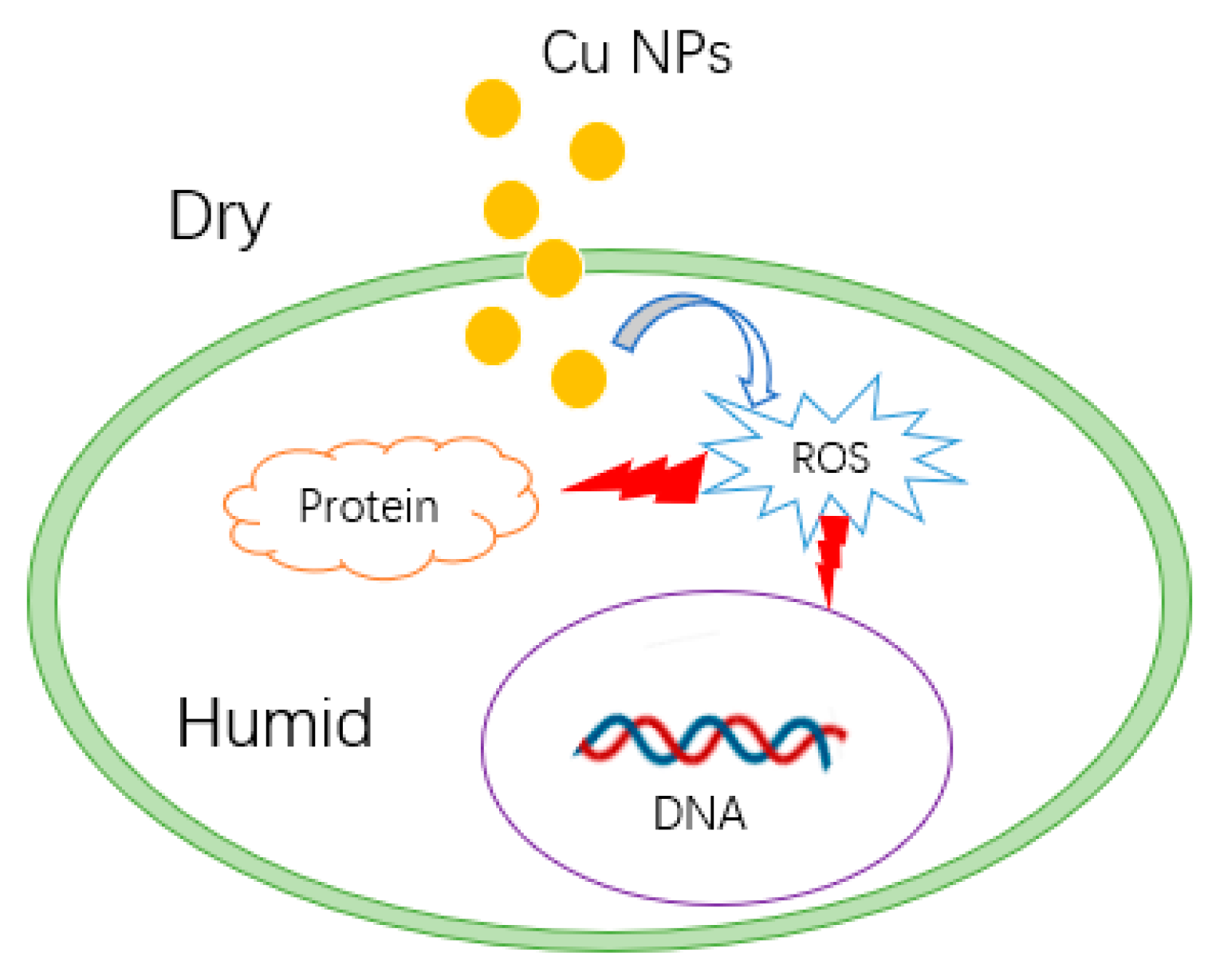 Biology 10 00137 g006