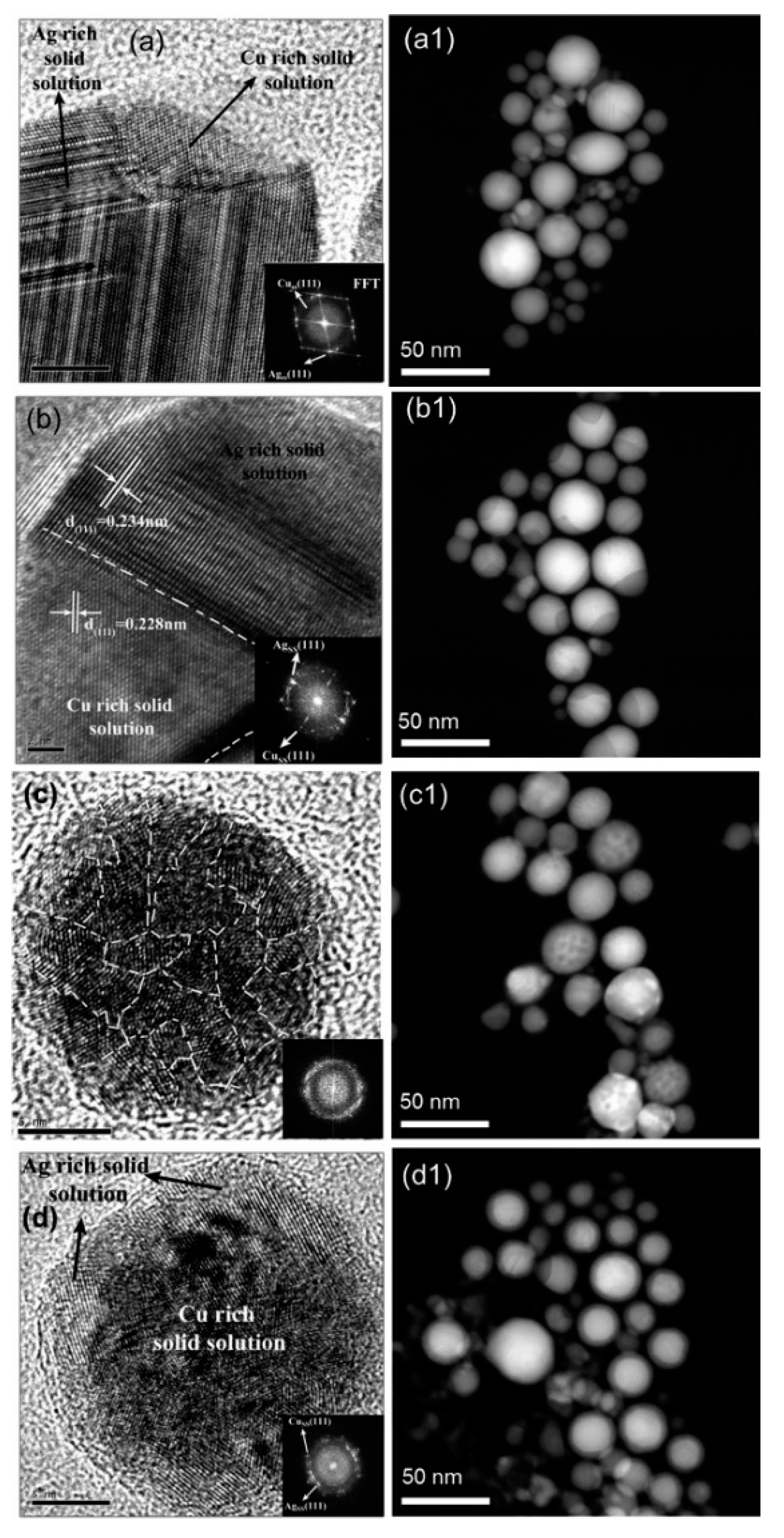Biology 10 00137 g012