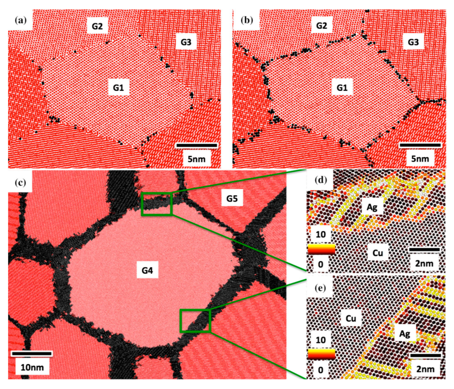Biology 10 00137 g013