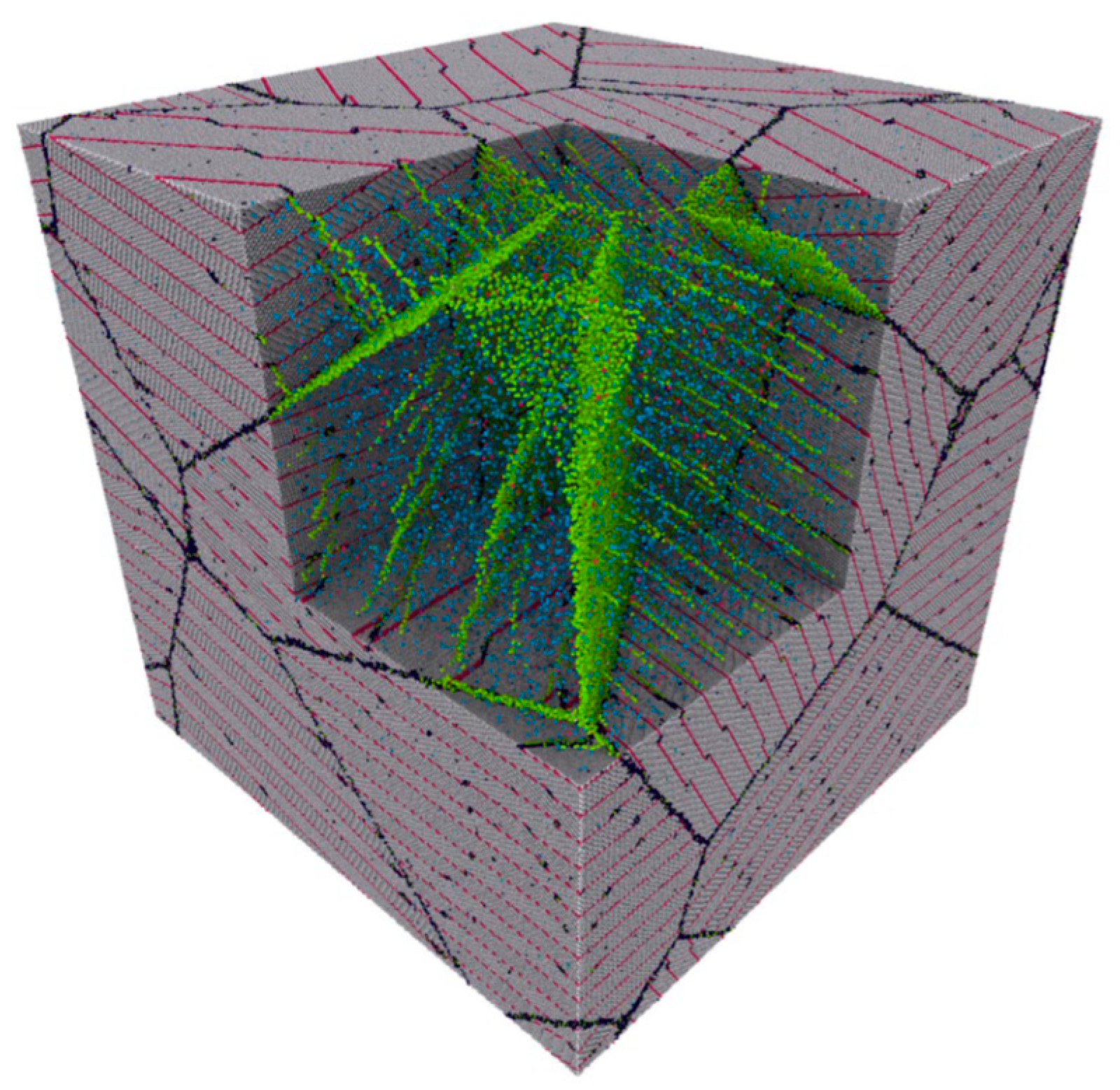 Biology 10 00137 g014